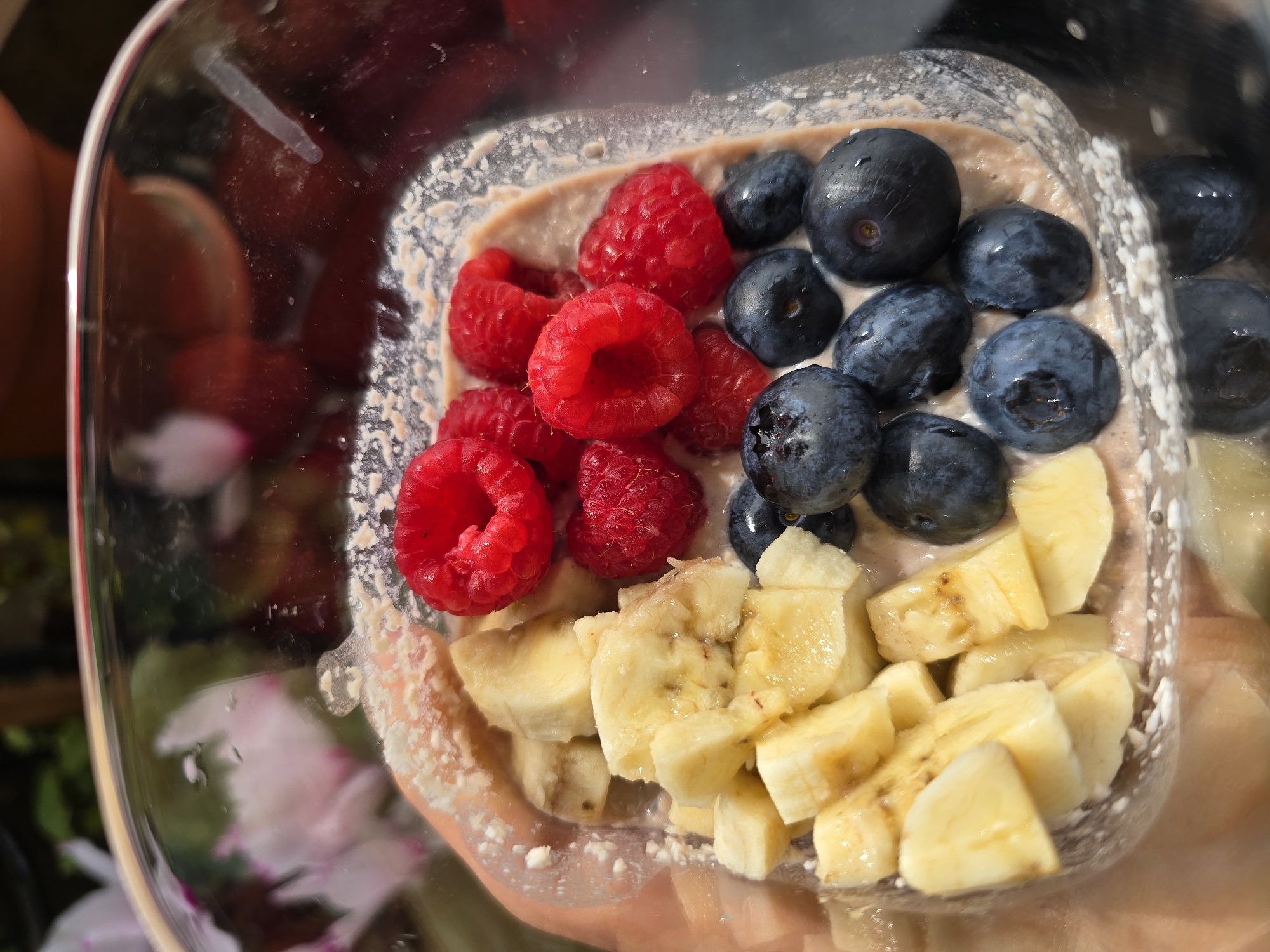 An overhead shot captures a clear plastic container filled with a light brown, creamy substance, likely overnight oats or a smoothie, topped generously with fresh fruit. The fruits are arranged in distinct sections: bright red raspberries occupy the upper left, dark blue blueberries are clustered in the upper right and middle, and diced yellow bananas fill the bottom right. The raspberries and blueberries appear slightly wet, suggesting they have been recently washed. The creamy base has a slightly coarse texture visible along the edges of the container.
The container is held by a hand, partially visible at the bottom right, with skin tones suggesting a person. The background is out of focus, showing blurred shapes of green foliage and hints of pink or purple flowers, indicating an outdoor setting with natural light. Bright reflections on the clear plastic of the container and the surface of the blueberries suggest sunny weather. There is no visible text in the image. While the provided context specifies Burgas, Bulgaria, there are no specific visual cues within the image to confirm this location. The image conveys a fresh and healthy meal, possibly breakfast or a snack, enjoyed outdoors.