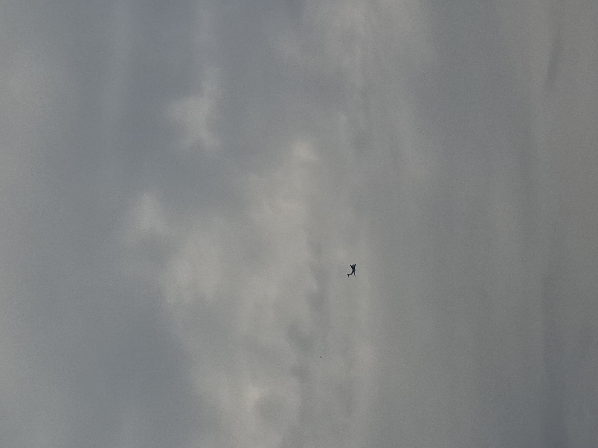 The image depicts a small, dark airplane in flight against a cloudy gray sky. The environment appears to be overcast. There is no information available that would determine the location of the scene to be Khlevnoye, Russia.