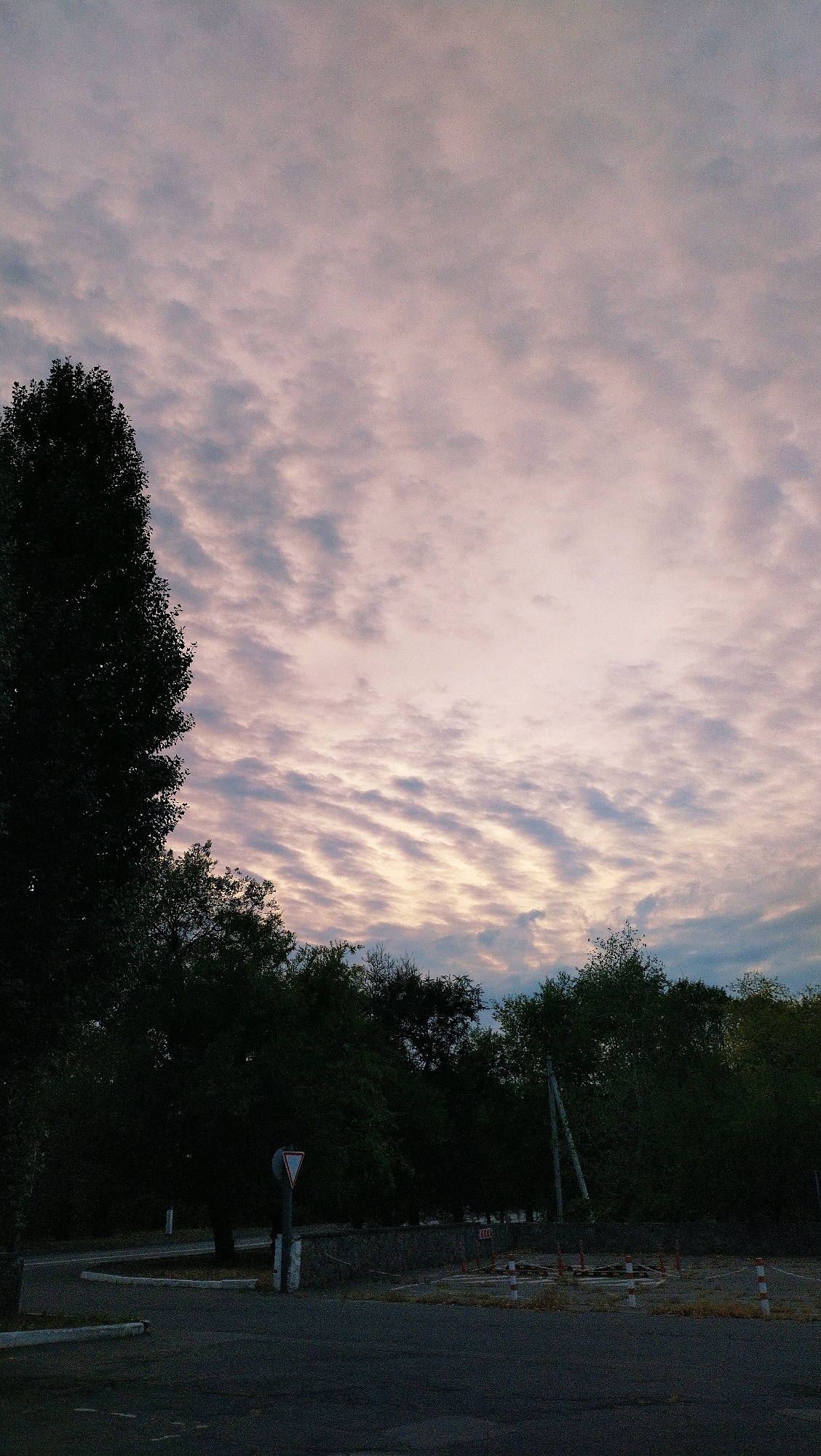 The image captures an outdoor scene at dusk or dawn in Horishni Plavni, Ukraine. The sky is filled with soft, wispy clouds displaying hues of pink and pale blue. In the foreground, there's a paved area, possibly a road or intersection, with a triangular yield sign on a pole. Dense foliage from trees lines the background, obscuring much of the land. The overall impression is one of a quiet, perhaps semi-rural or industrial area on the outskirts of the city, under a serene sky.