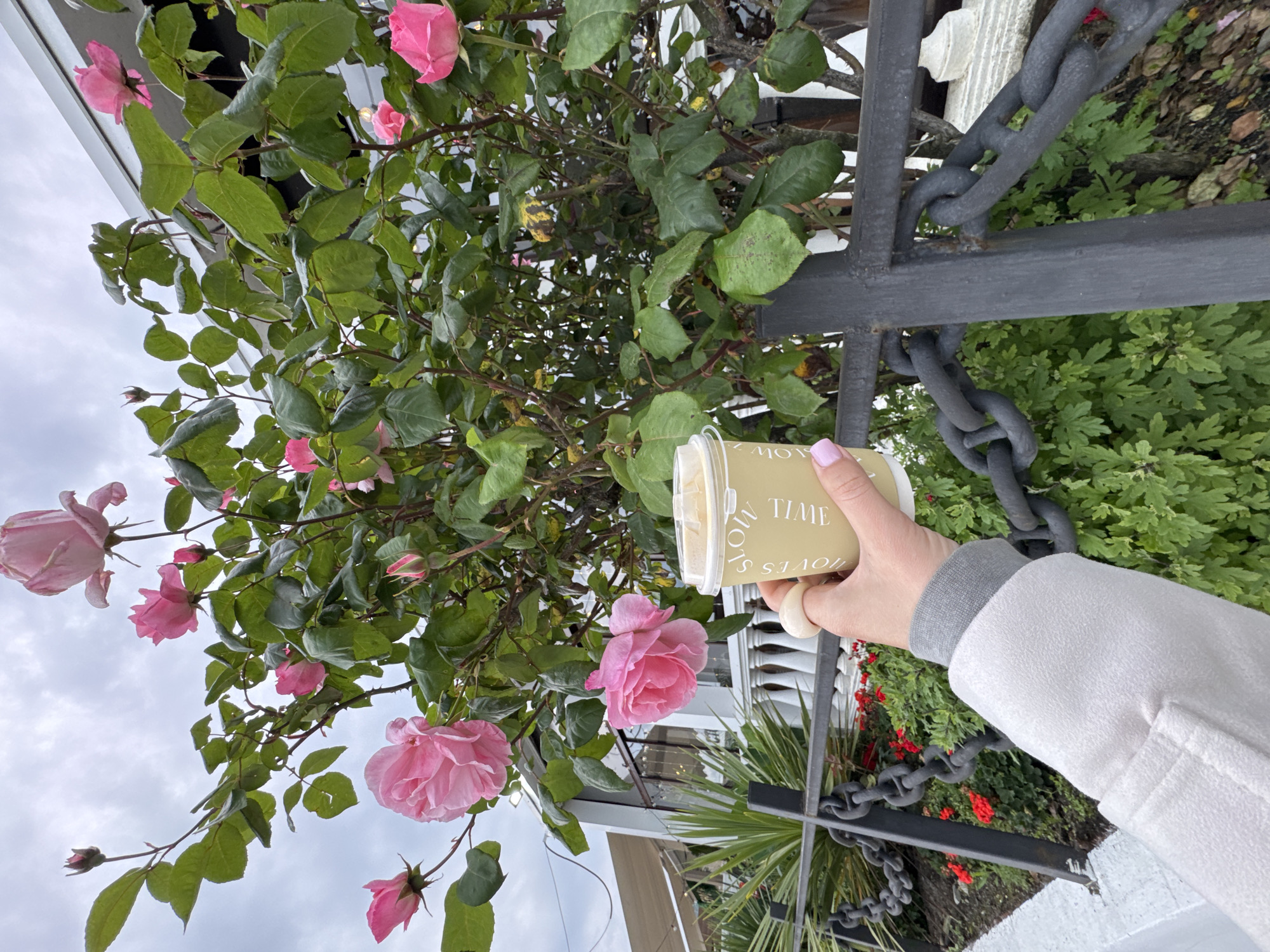 A person in a light-colored coat holds a cup of coffee next to a blooming rose bush with pink flowers, near a wrought-iron fence, against a backdrop of buildings and greenery. The location is likely Sochi, Russia, based on the context.