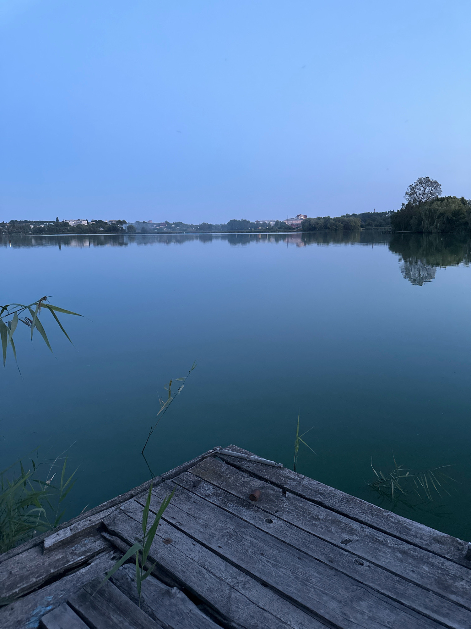 The image captures a serene twilight scene at the edge of a tranquil lake. In the foreground, a weathered wooden dock, constructed from gray planks, extends into the calm water. Some reeds and tall grasses grow from the dock and its edges, adding a touch of wildness to the man-made structure. The lake itself is a deep, muted blue, perfectly reflecting the soft twilight sky and the distant shoreline.
Across the lake, a settlement of buildings and trees forms a hazy silhouette against the horizon. The buildings appear to be low-rise structures, possibly houses or small commercial buildings, with a few taller elements suggesting church spires or chimneys. The trees on the far bank are dense and dark, with a prominent, large tree with a spreading canopy on the right side, its reflection also visible in the water. The sky above is a gradient of light blue, transitioning to a deeper hue at the top of the frame, indicating the late evening hour. The overall atmosphere is one of quietude and natural beauty, enhanced by the subtle lighting of dusk.