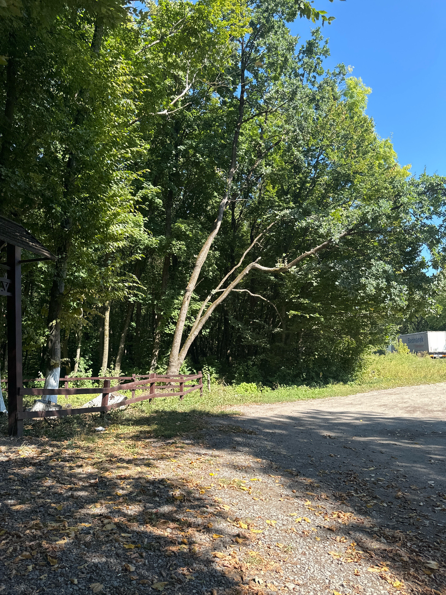 This is a landscape image taken on a sunny day in the city of Shatava, Ukraine. The scene is dominated by lush green trees, some of which are bare-branched, reaching towards a clear blue sky. In the foreground, a gravelly path is dappled with sunlight and shadow, with fallen leaves scattered across it. To the left, a rustic wooden fence encloses a grassy area, and part of a wooden structure, possibly a gazebo or shelter, is visible. Further in the background, a white truck with the word "Bednarek" written on its side is parked by the side of the road, partially obscured by trees. The overall impression is one of a rural or semi-rural setting, likely a park or a wooded area near a road.