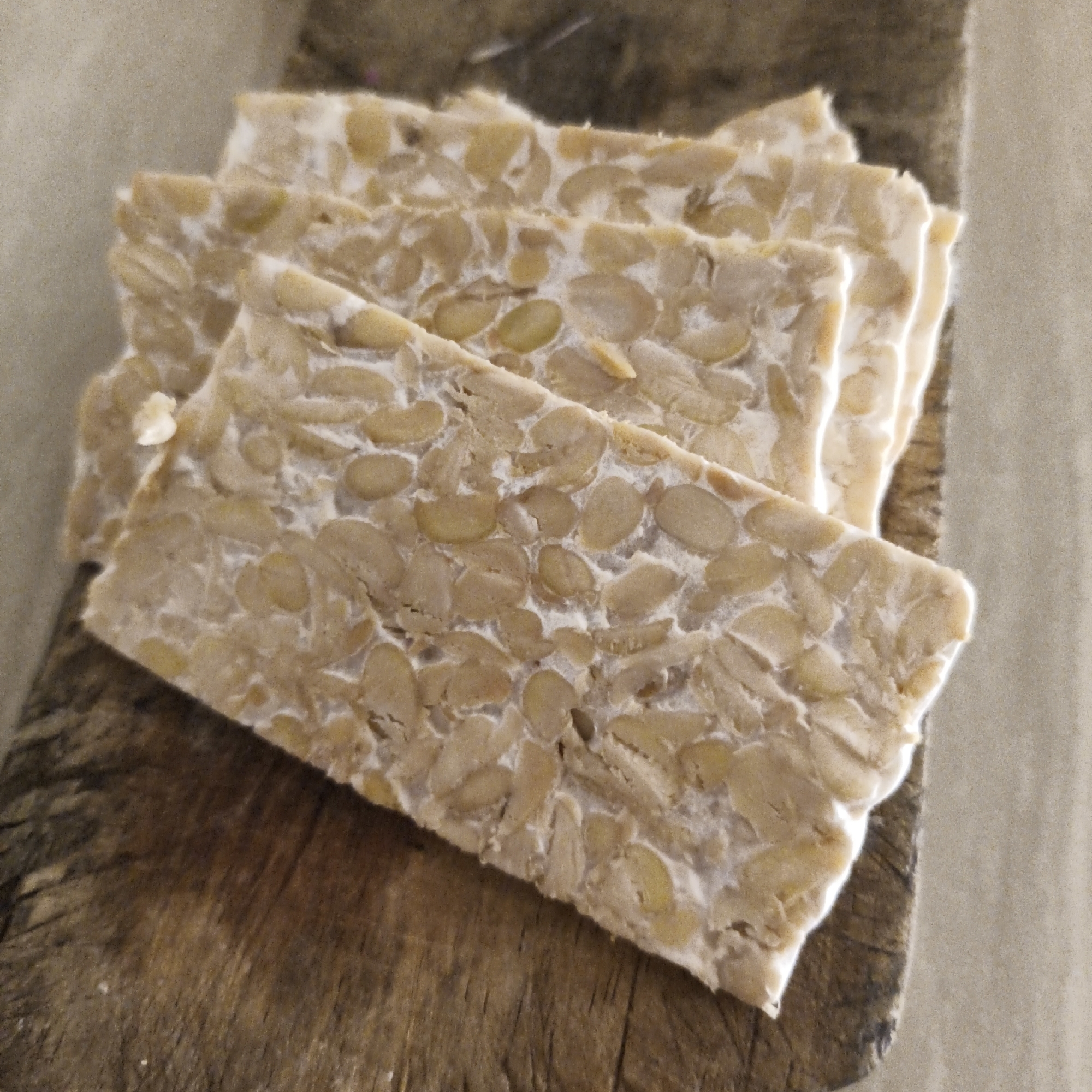 Four rectangular slices of tempeh are stacked on a rustic wooden surface. The tempeh is light brown with visible white mycelium binding the soybeans together. The wooden surface has a rough texture with visible grain lines and appears to be a cutting board or a piece of reclaimed wood. The background is a neutral, slightly textured surface. The lighting is soft, casting gentle shadows. The image was likely taken in a kitchen or food preparation area in South Jakarta, Indonesia, given the subject matter.