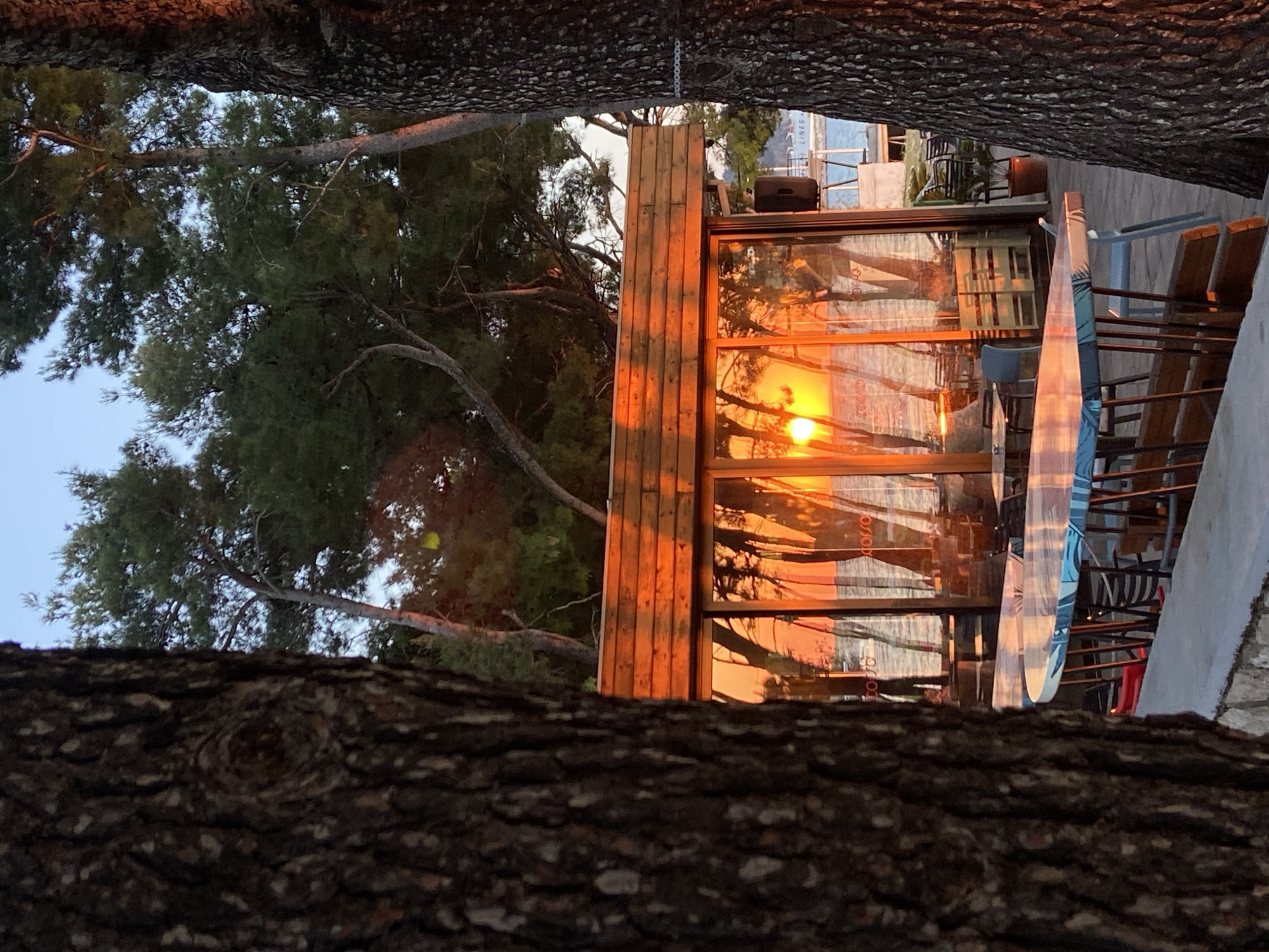 The image, taken at sunset in Bar, Montenegro, is framed by two large, dark, textured tree trunks in the foreground. Between these trunks, the scene opens to a view of a modern wooden-paneled building, likely a cafe or restaurant, nestled among green pine-like trees.
The most striking feature is the intense reflection in the building's large windows, showcasing a vibrant orange and yellow sunset. The distinct circular shape of the sun is clearly visible, casting long, dark silhouettes of trees against the bright sky and what appears to be the surface of the sea or a large body of water. The word "ROSSOD" (possibly mirrored and part of a larger name or logo) can be faintly discerned within these reflections on the glass.
Around the building, on what seems to be a patio or outdoor area, several chairs, tables (some stacked), and a partially open umbrella are visible, indicating an outdoor seating arrangement. No people are present in the scene.
The time of day is clearly sunset, as evidenced by the warm, dramatic lighting and the visible sun. The atmosphere is serene and peaceful, with the golden hour light illuminating the architectural and natural elements. The thick tree foliage around the building suggests a setting close to nature, likely coastal given the apparent reflection of water.