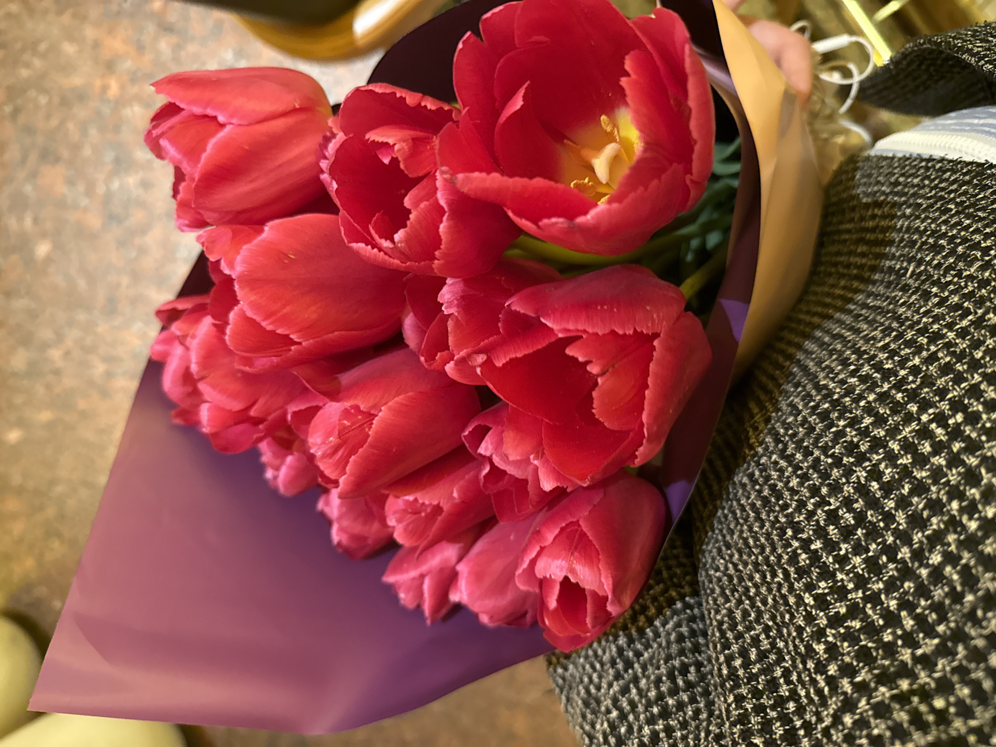 A close-up, high-angle shot captures a vibrant bouquet of red-pink tulips, held by an unseen person. The dominant subject is the fresh, open and partially open tulips, featuring ruffled petal edges and visible yellow stamens in some of the fully bloomed flowers. The bouquet is wrapped in two layers: an inner layer of solid purple paper and an outer layer of light brown or beige paper, folded around the stems.
On the right side of the frame, a textured fabric, likely clothing such as a coat or jacket, is visible. It exhibits a tweed-like pattern in shades of dark grey and white, creating a granular appearance. A faint outline of what appears to be a hand is seen near the top right, holding the bouquet, with a thin white cable or earphone string subtly appearing in the background.
The background is softly blurred, indicating a shallow depth of field that keeps the flowers in sharp focus. Parts of a speckled, light brown or beige surface, possibly a floor or countertop, are visible on the left and in the blurred distant background. Golden or yellow blurred elements also appear in the upper background. No specific time of day or weather is discernible. The image conveys a sense of gifting or appreciation. There is no visible text in the image. The location context provided is Yerevan, Armenia.