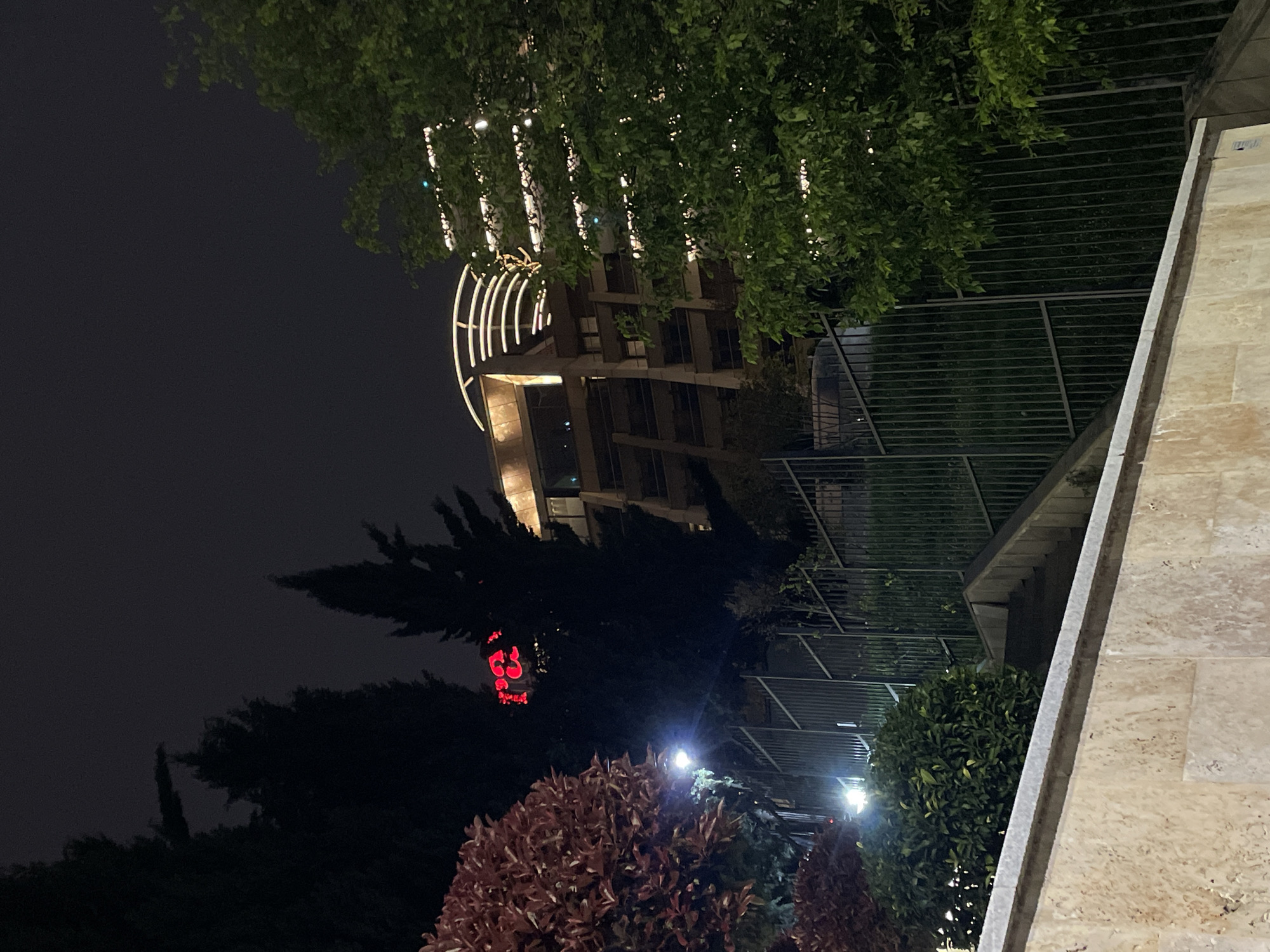 The image captures a nighttime urban scene, likely in Tbilisi, Georgia, illuminated by artificial light sources. The primary subject is a modern, multi-story building, visible on the left side of the frame. It features a distinctive, curved, illuminated architectural element on its upper section, possibly a decorative light fixture or part of the building's facade.
Various types of vegetation dominate the foreground and mid-ground. A lush canopy of green trees extends across the top, partially obscuring the building and reflecting light. Below this, a dark, evergreen tree stands prominently against the dark night sky. In the lower right, vibrant reddish-brown ornamental bushes and smaller green shrubs are brightly lit, creating depth in the foreground.
A red, stylized illuminated sign, possibly a logo or a single letter such as the Georgian character "შ" (shin) or a stylized Latin "S," is partially visible through the dark tree foliage in the mid-ground, hinting at a commercial establishment.
On the far right, a textured, light-colored stone-clad wall or structure, topped with a grey coping, forms a strong vertical line. A dark metal fence or railing system is also visible in the mid-ground, suggesting a tiered landscape or a protective barrier. The sky is dark and clear, indicating a calm night. No people or specific activities are present, giving the scene a serene, architectural ambiance.