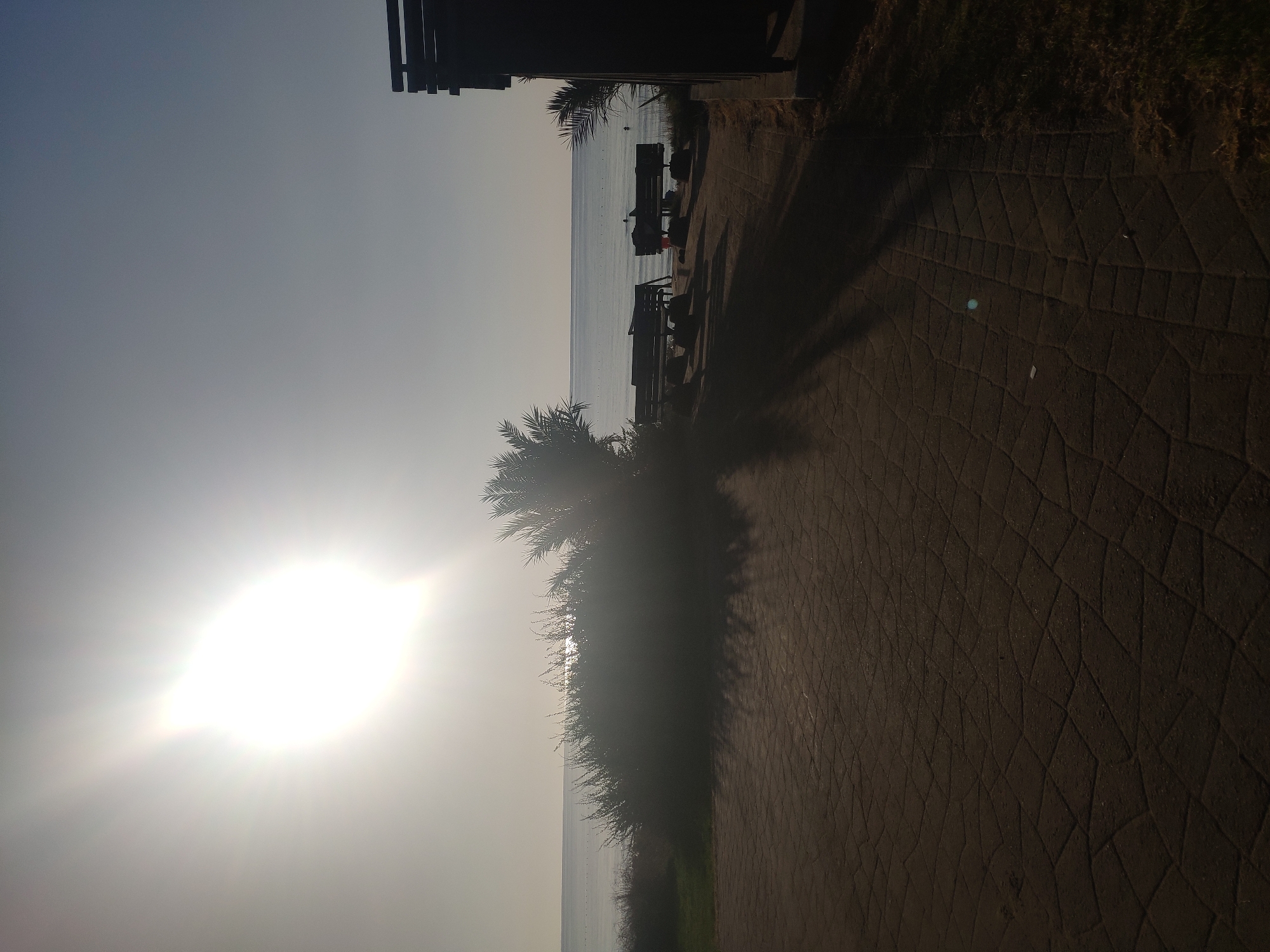 This image depicts a scene at a beach in Trikomo, Northern Cyprus. The sun is low in the sky, casting a bright glare and long shadows. In the foreground, there is a paved area with a patterned surface. To the left, a dense bush and palm trees create a dark silhouette. In the midground, two benches are placed on the sand overlooking the calm sea. The sea stretches to the horizon, with the sun reflecting on its surface. On the right side of the image, a dark, wooden structure, possibly a beach hut or changing room, is partially visible. The overall atmosphere is serene and tranquil, characteristic of a seaside location at sunrise or sunset.