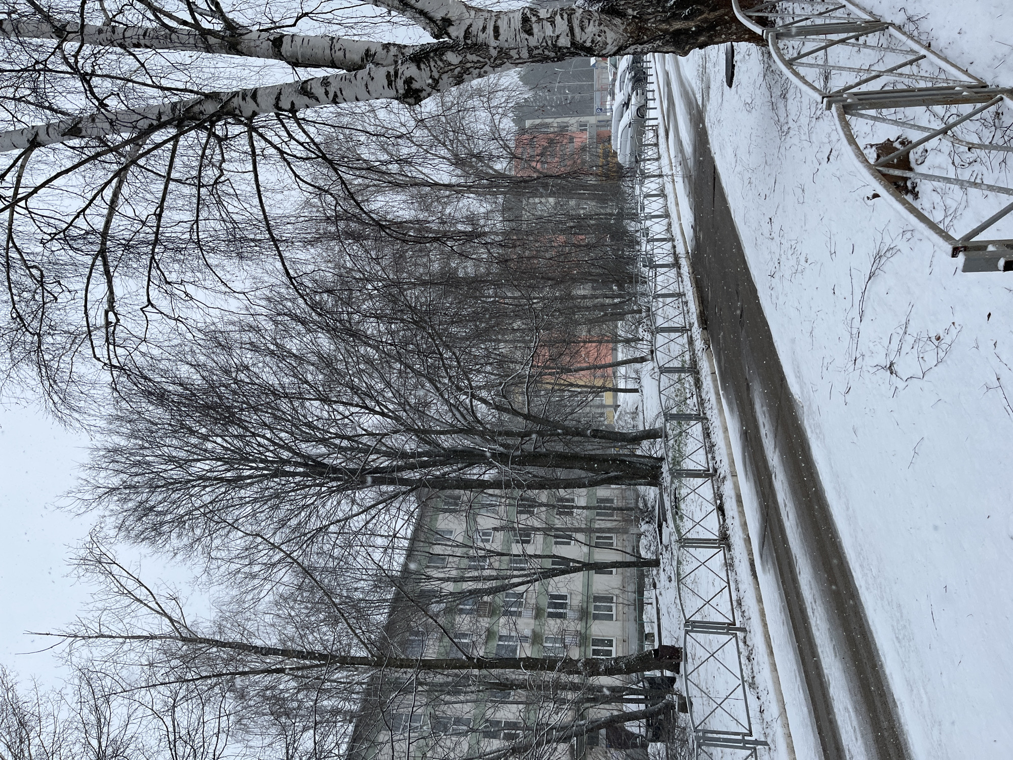 The image depicts a winter scene in what appears to be a residential area of Chaikovsky, Russia. Snow covers the ground and is falling lightly. Several leafless trees line a street or sidewalk. A metal fence runs parallel to the street. Behind the trees, a multi-story apartment building with numerous windows is visible. In the distance, another building with a different color scheme can be seen. There are no people visible in the image. The overall impression is one of a typical overcast winter day in a Russian city.