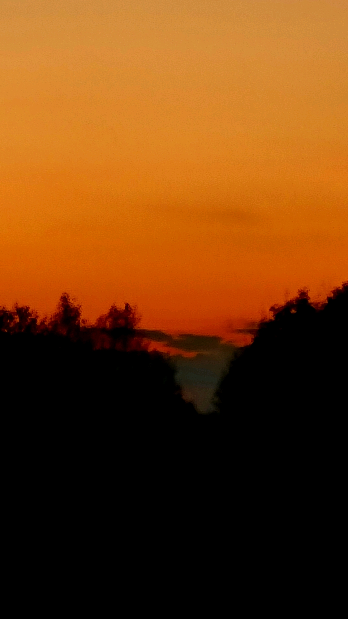 The image is a vertical, full-frame, low-light photograph of a sunset in Vysokoe, Russia. The sky is dominated by a gradient of warm orange hues, transitioning from a lighter shade at the top to a deeper, reddish-orange near the horizon. Silhouetted against the sky is a dark, undulating line of trees, their shapes indistinct due to the low light. There are no people or visible man-made structures in the frame. The overall impression is one of a natural landscape at dusk.