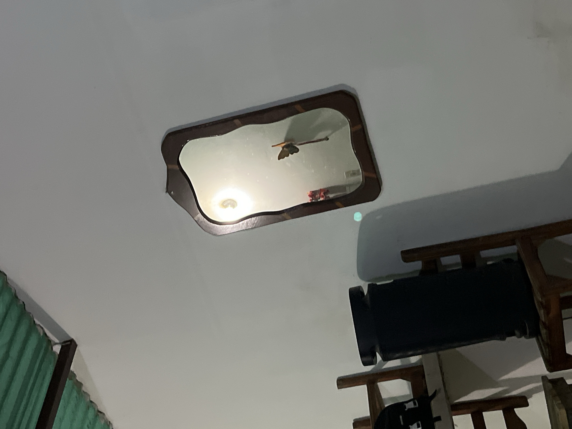 The image depicts a room with a white ceiling. A mirror with a brown wooden frame is mounted on the ceiling, reflecting a light fixture and a ceiling fan. To the right of the mirror, there is a dark, cylindrical object situated on a wooden structure with visible legs. Green curtains are visible in the lower left corner. The location, Juan Griego, Venezuela, cannot be confirmed or denied based solely on the image. There are no people visible.