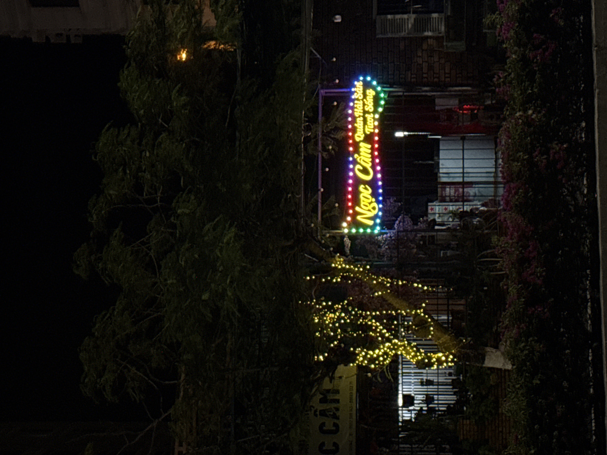 At night in Bac Nha Trang Ward, Vietnam, a sign in Vietnamese reads "Ngoc Cam Quan Hai San Tuoi Song" illuminated with colorful lights stands near a dark tree and a building with windows and floral decorations.