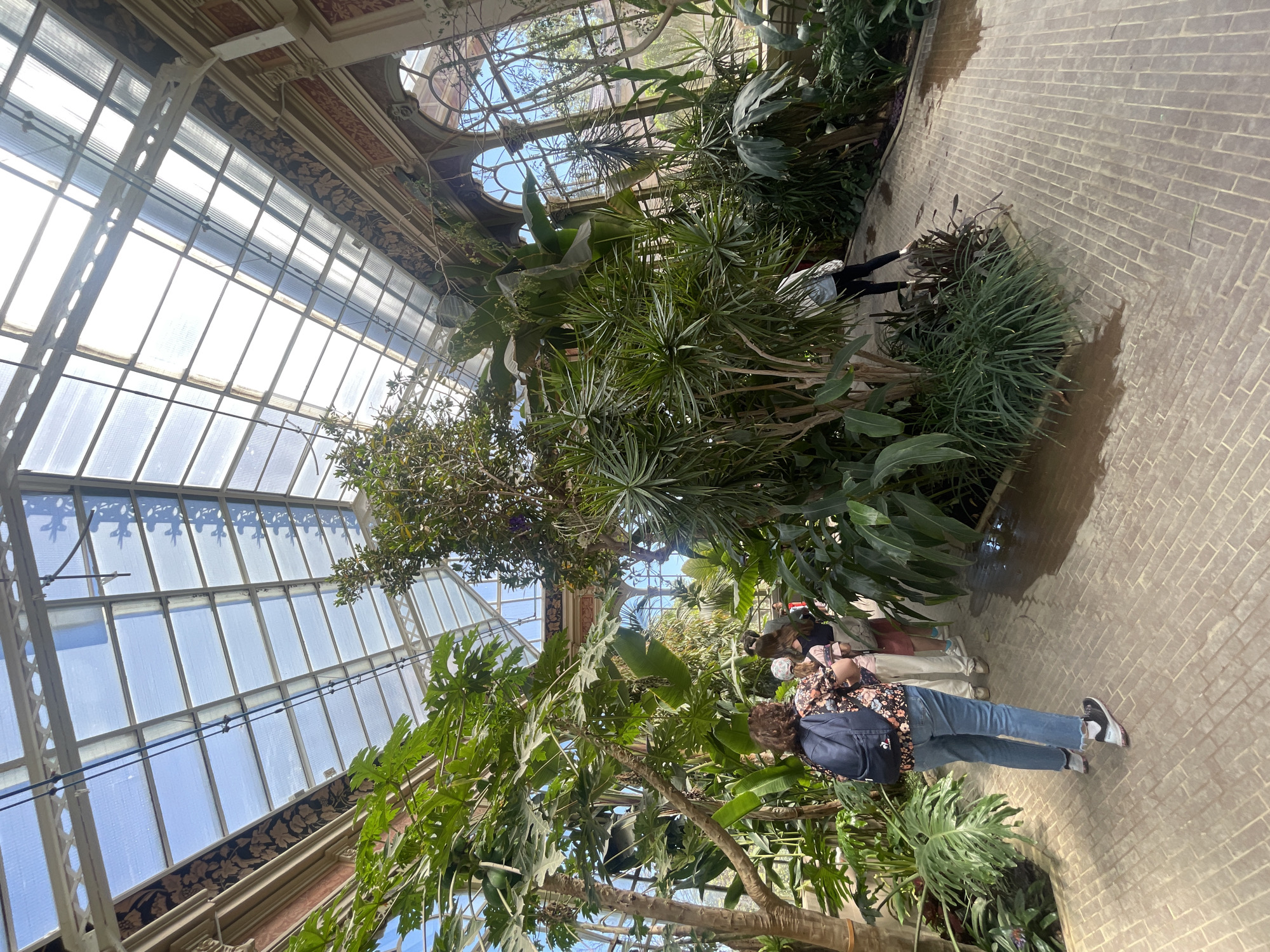 The image shows a scene inside a greenhouse. There are various tropical plants, including palms, banana plants, and other leafy greens. Several people are observing the plants. The greenhouse has a high, arched glass ceiling supported by a white metal frame. The interior features decorative details, including patterned cornices. The floor is made of red brick. The greenhouse is likely located in Barcelona, Spain, based on the architecture and plant types.