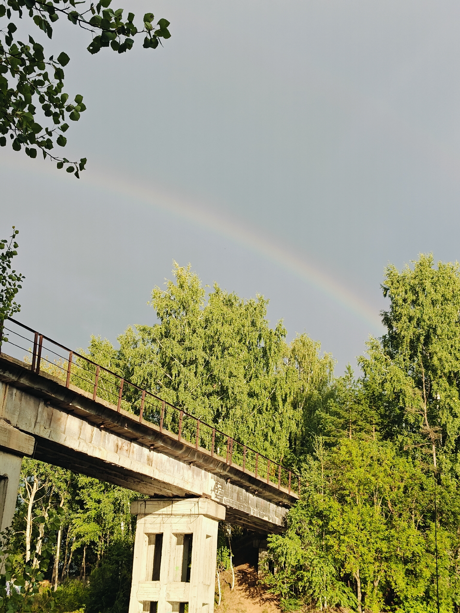 An old concrete bridge with a rusty railing spans across a wooded area, with lush green trees on either side and a faint rainbow visible in the overcast sky. The bridge is supported by thick concrete pillars. The scene appears to be in a natural setting on the outskirts of the city of Chaikovsky, Russia, possibly near the Kama River. There are no people visible in the image, and the overall impression is one of an abandoned or disused structure within a vibrant natural landscape.