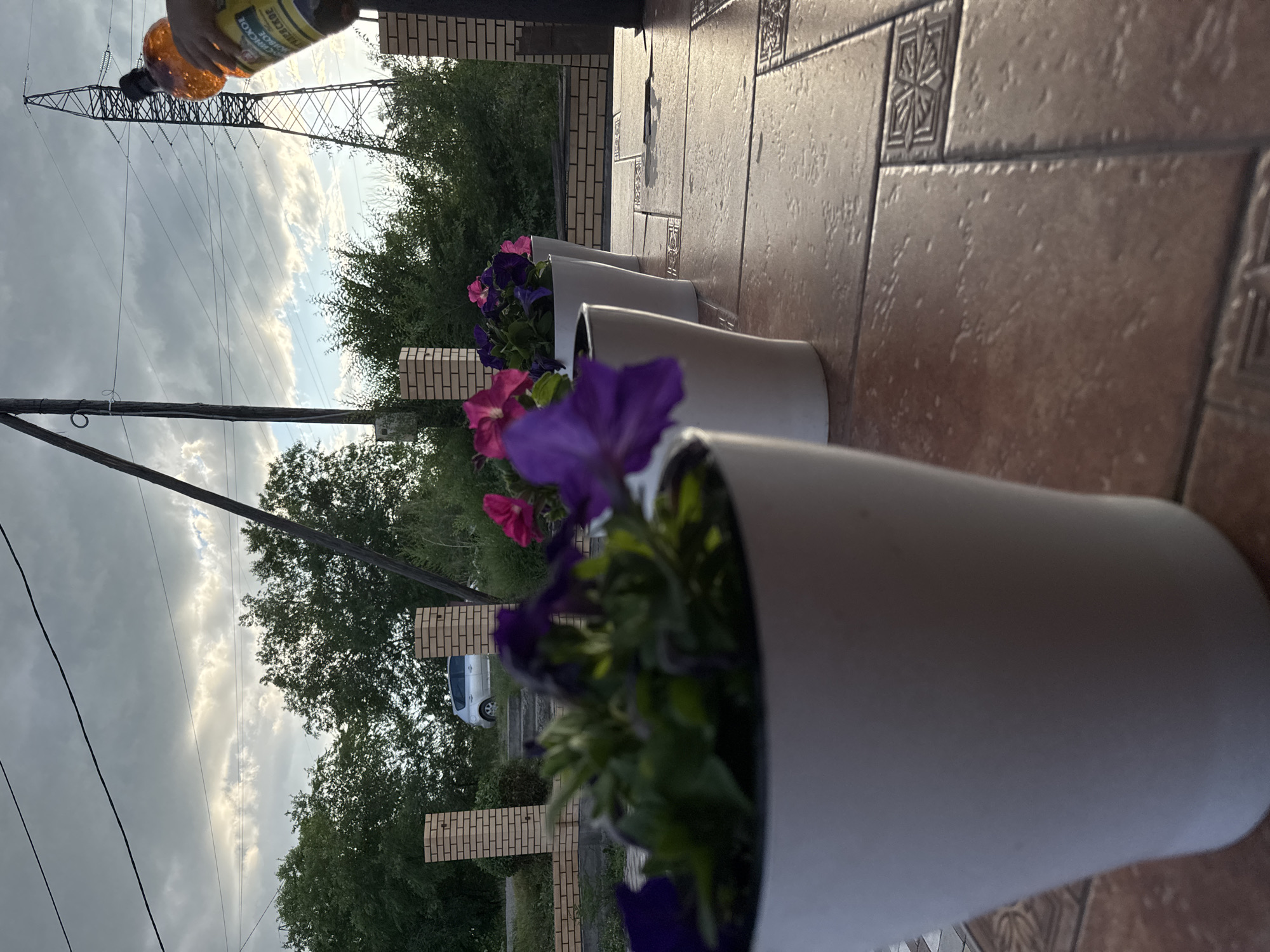 The image depicts a row of potted plants on a tiled patio, with a backdrop of trees, a brick fence, a silver car, a power line pylon, and a cloudy sky. In the foreground, the closest pot is blurred, showing green foliage and purple flowers. Behind it, three more white pots with vibrant pink and purple flowers are visible in focus. The patio tiles are a reddish-brown color with decorative patterns. A person's hand is visible on the right side of the frame, holding a large plastic bottle of amber liquid, possibly beer, with a label in Cyrillic script. The background shows a residential area with trees, a low brick wall, and a silver car parked on a slight incline. In the distance, a tall power line pylon dominates the sky, which is filled with dramatic, luminous clouds. The overall impression is of a late afternoon or early evening scene, possibly in Minusinsk, Russia, given the presence of Cyrillic script on the bottle.