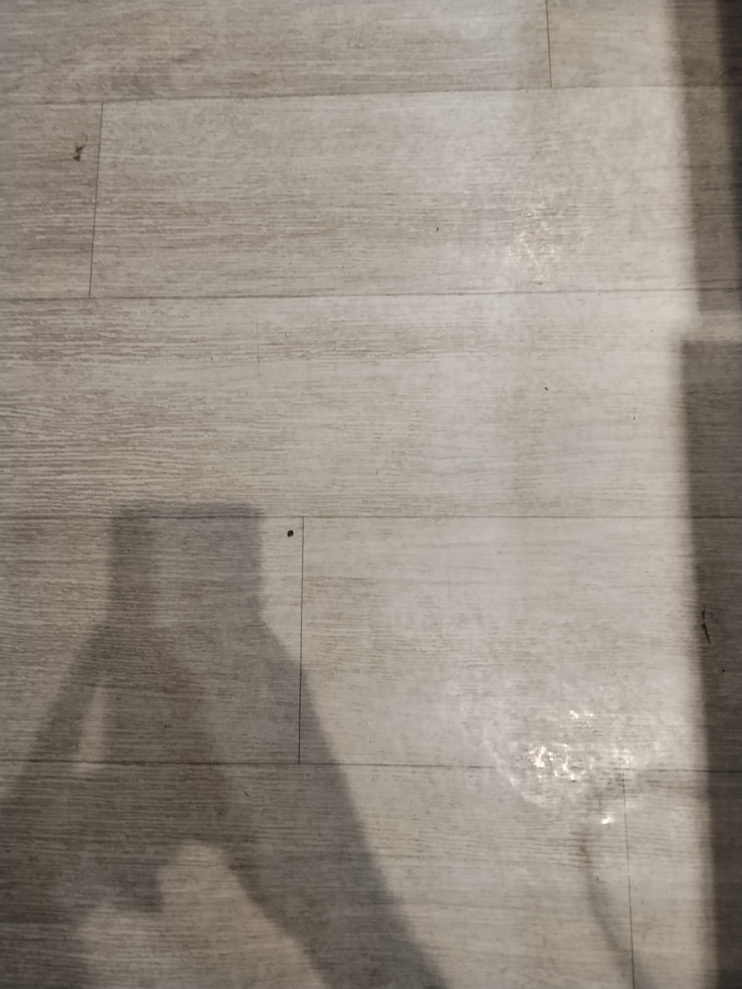 The image shows a light-colored wooden floor with visible grain patterns and some subtle reflections. A shadow of a person holding a camera is cast across the lower left portion of the floor, indicating the perspective from which the photograph was taken. There are a few small dark spots on the floor, possibly dust or debris, and a thin vertical line suggests a seam between floor planks. The overall scene is indoor and appears to be a domestic or commercial space with a neutral, possibly worn, floor. There is no information to determine the specific location in Kara-Balta, Kyrgyzstan.