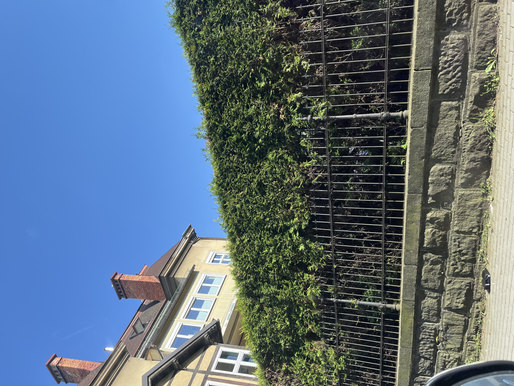 A sunny, outdoor, eye-level shot captures a clear blue sky above a densely-vegetated hedge and a dark metal fence. The hedge is tall and thick, obscuring most of the view behind it. The fence is made of vertical metal bars and ornamental posts, and it sits atop a stone wall composed of large, rough-hewn blocks. To the left of the frame, the upper portion of a building is visible, featuring red-brick chimneys, a sloped roof, and windows with white frames. The building's facade is a pale yellow. A paved sidewalk or road is in the foreground, with a black object lying on it. The scene appears to be in an urban or suburban setting.