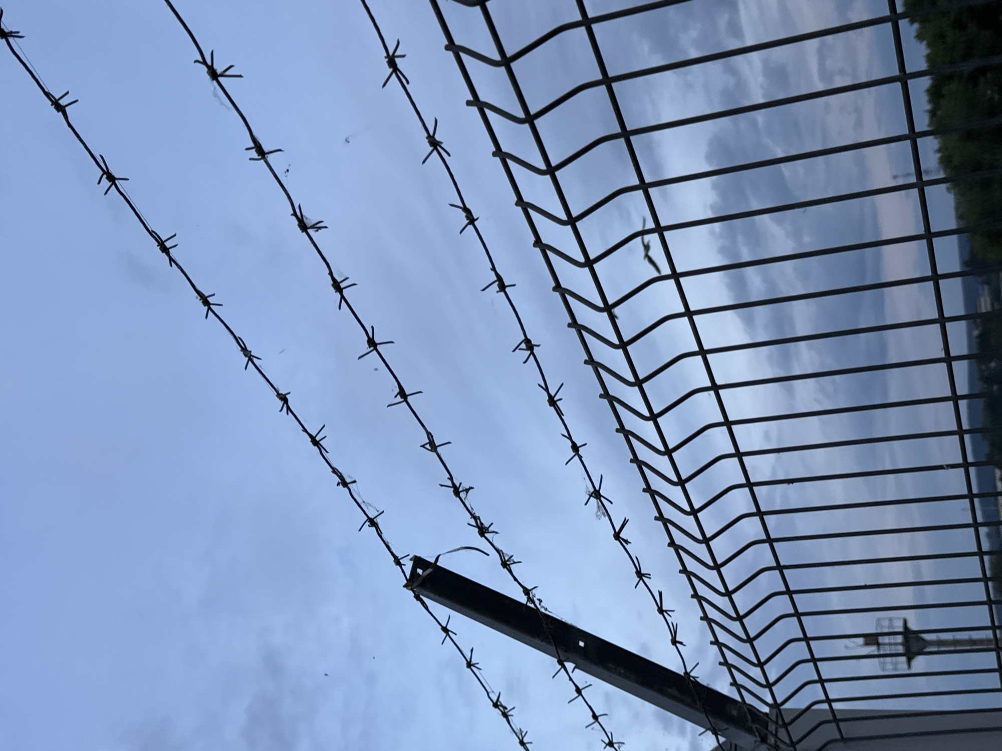 This media file shows a close-up, low-angle shot of a barbed wire fence against a cloudy sky. The barbed wire runs diagonally across the frame, with sharp barbs protruding from the wires. To the right, a section of a mesh fence is visible, with horizontal bars. In the distance, through the mesh fence, there appears to be a structure with a cage-like top, possibly a communication tower or a lookout post. The sky is overcast with diffused light, suggesting it is either early morning or late afternoon. The overall mood is somewhat somber and imposing, due to the presence of the barbed wire, often associated with security or confinement. The location is identified as Chaikovsky, Russia. No text is visible in the image.