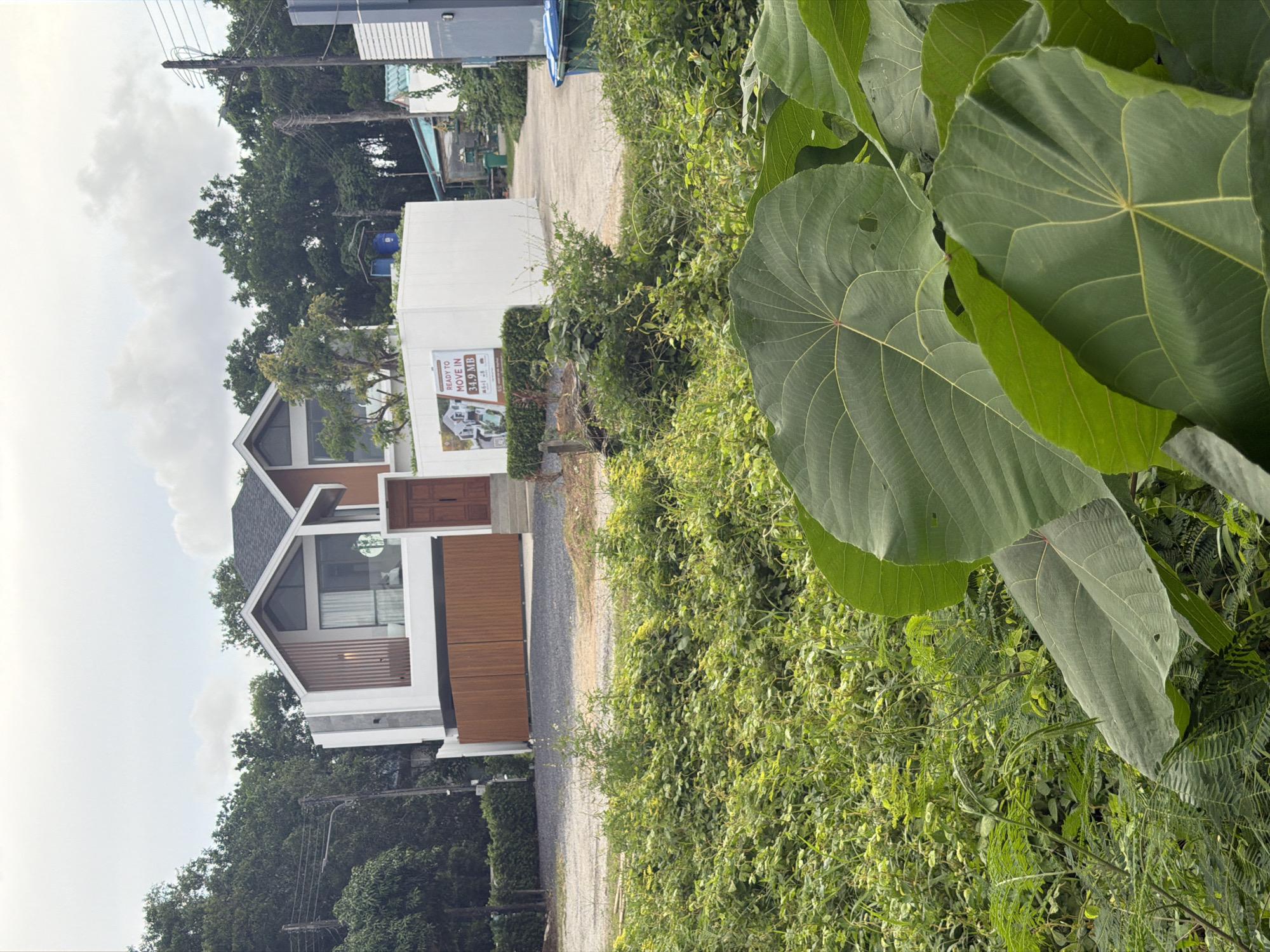 In the city of Choeng Thale, Thailand, a modern two-story house with a peaked roof and a combination of white and reddish-brown exterior walls stands prominently. The house features large windows, including a prominent angled window on the upper level with wooden louvers. A wide, dark wooden gate is closed at the entrance. A white wall, possibly a construction barrier, is located in front of the house, displaying a sign that reads "READY TO MOVE IN 34.9 MB." The foreground of the image is dominated by lush, green foliage, including large, broad leaves and smaller, fern-like plants. The background consists of a dense wall of trees, with a utility pole and power lines visible to the left of the house. A narrow concrete path leads away from the house towards the right, bordered by vegetation and a blue recycling bin. The sky is overcast with clouds.