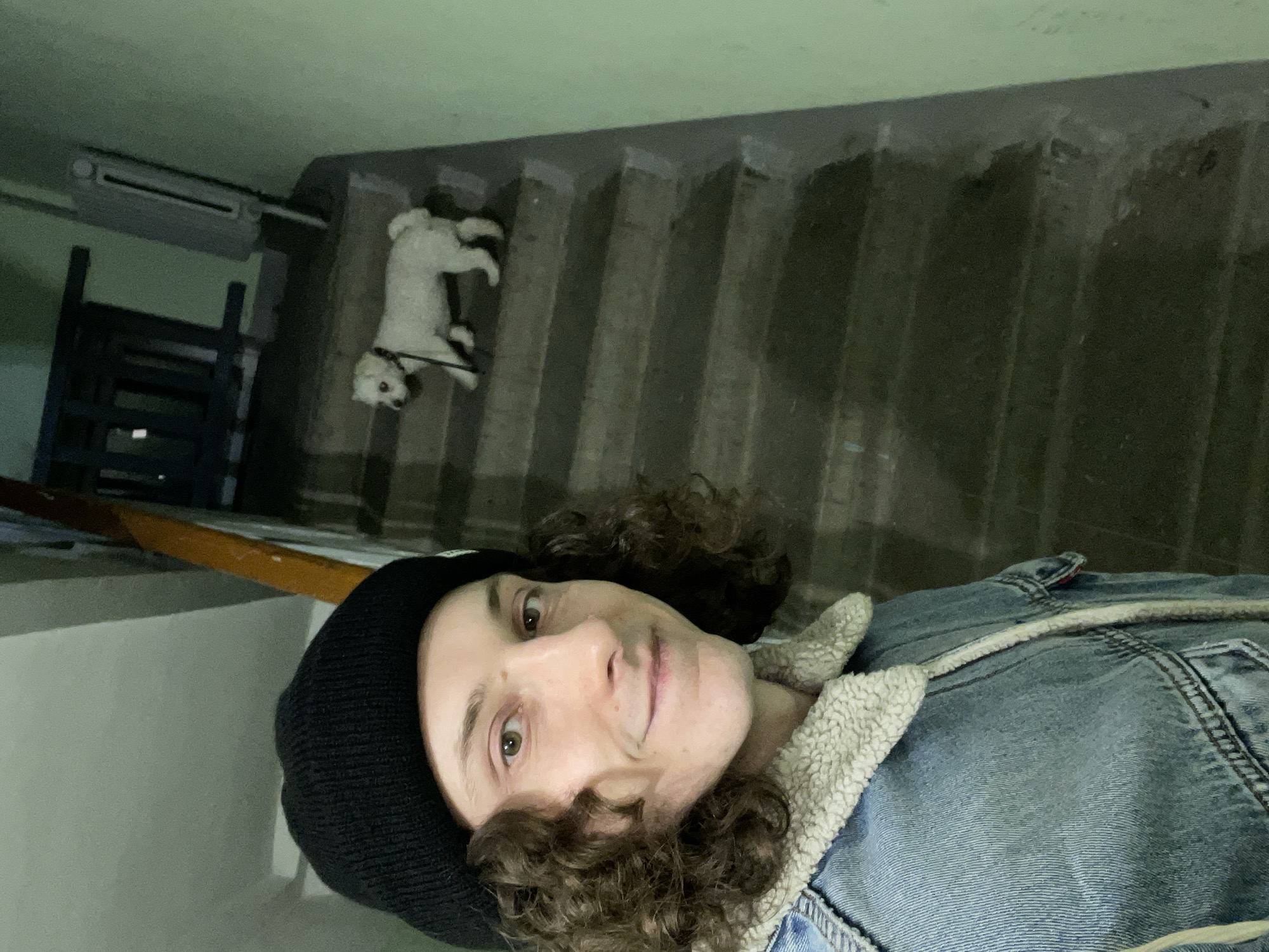 A selfie of a person with curly brown hair wearing a black beanie and a denim jacket with a fleece collar. They are indoors, possibly in a stairwell. Above and behind them, there is a small white dog on a leash lying on a staircase. The stairwell is made of concrete. There is also an air conditioning unit visible in the upper left corner. The location in the city of Yekaterinburg, Russia is unknown.