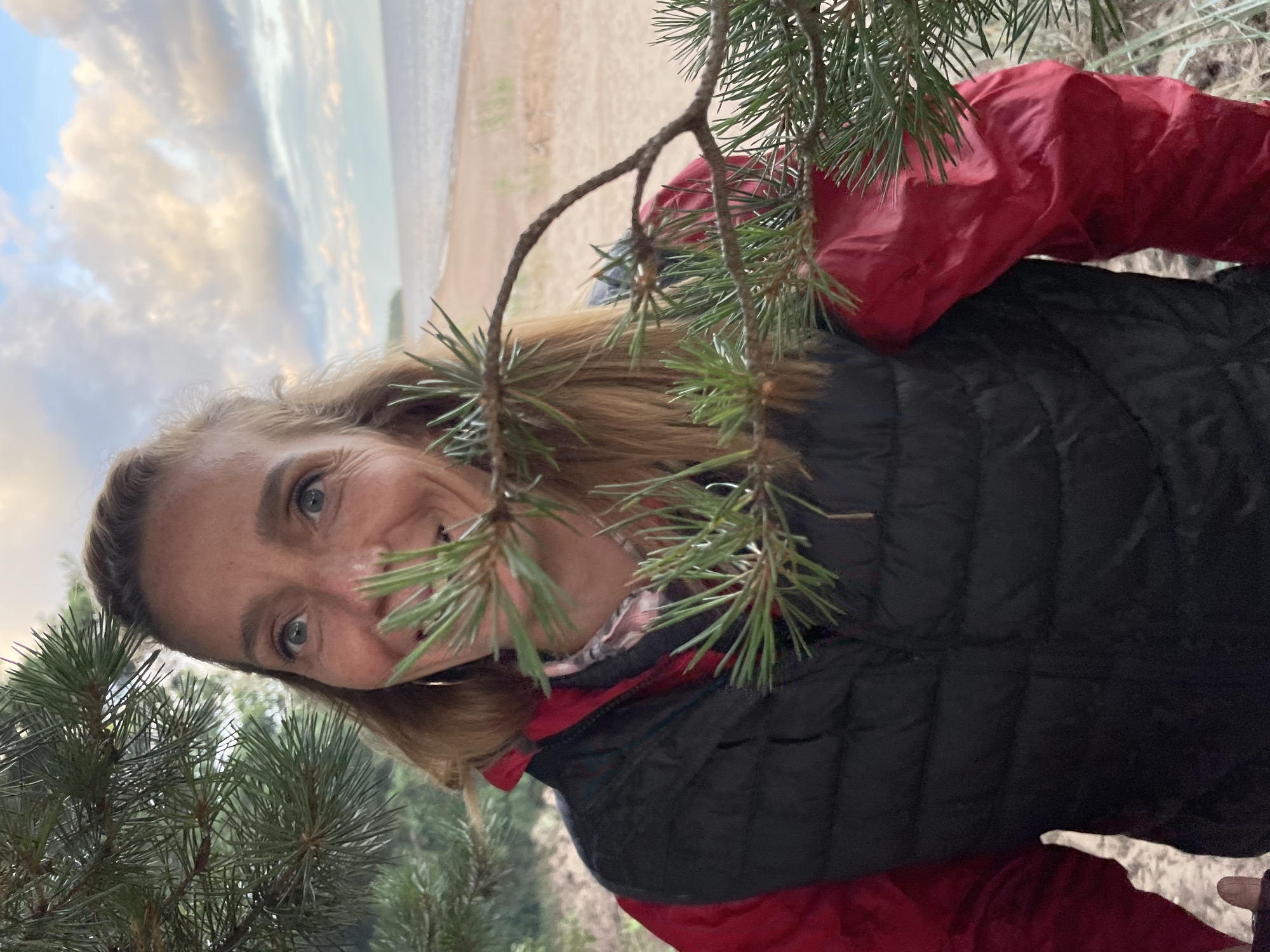 A woman with blonde hair and blue eyes is peeking through pine branches. She is wearing a black puffer vest over a red jacket. The background shows a sandy beach with the sea and a cloudy sky. The location is identified as Zelenaya Roshcha, Russia.