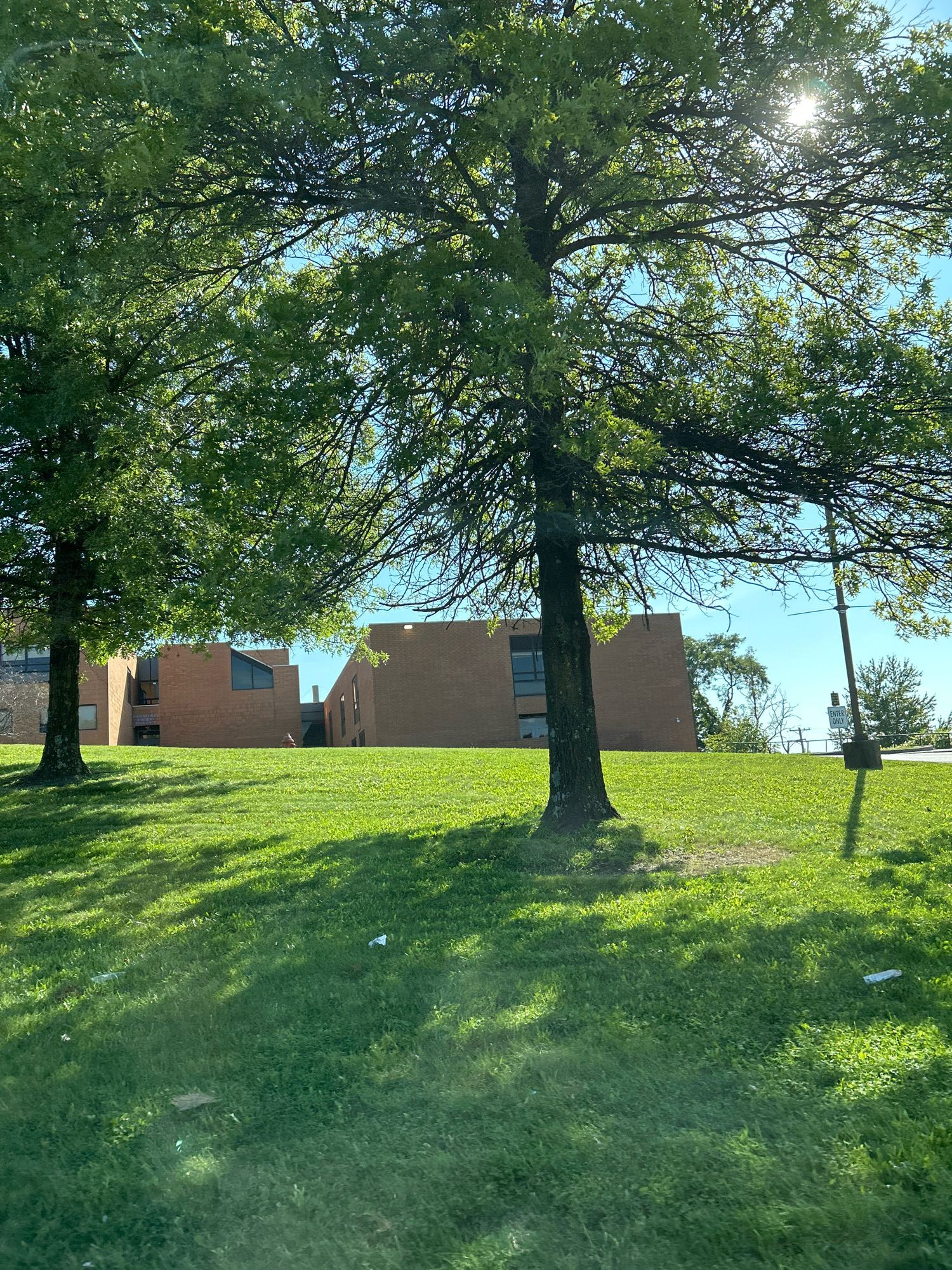 The image depicts a bright, sunny day in Robinson Township, United States of America, with lush green grass carpeting a sloping lawn. Two large trees with dense foliage stand in the foreground, casting dappled shadows on the grass. In the background, a two-story brick building with modern architectural elements, including large windows and geometric shapes, is visible. The sky is clear and blue, with the sun shining brightly through the tree branches, creating lens flare. A street sign with the words "ENTER ONLY" is positioned on the right side of the frame, near a tall pole. Scattered pieces of white litter are visible on the lawn.