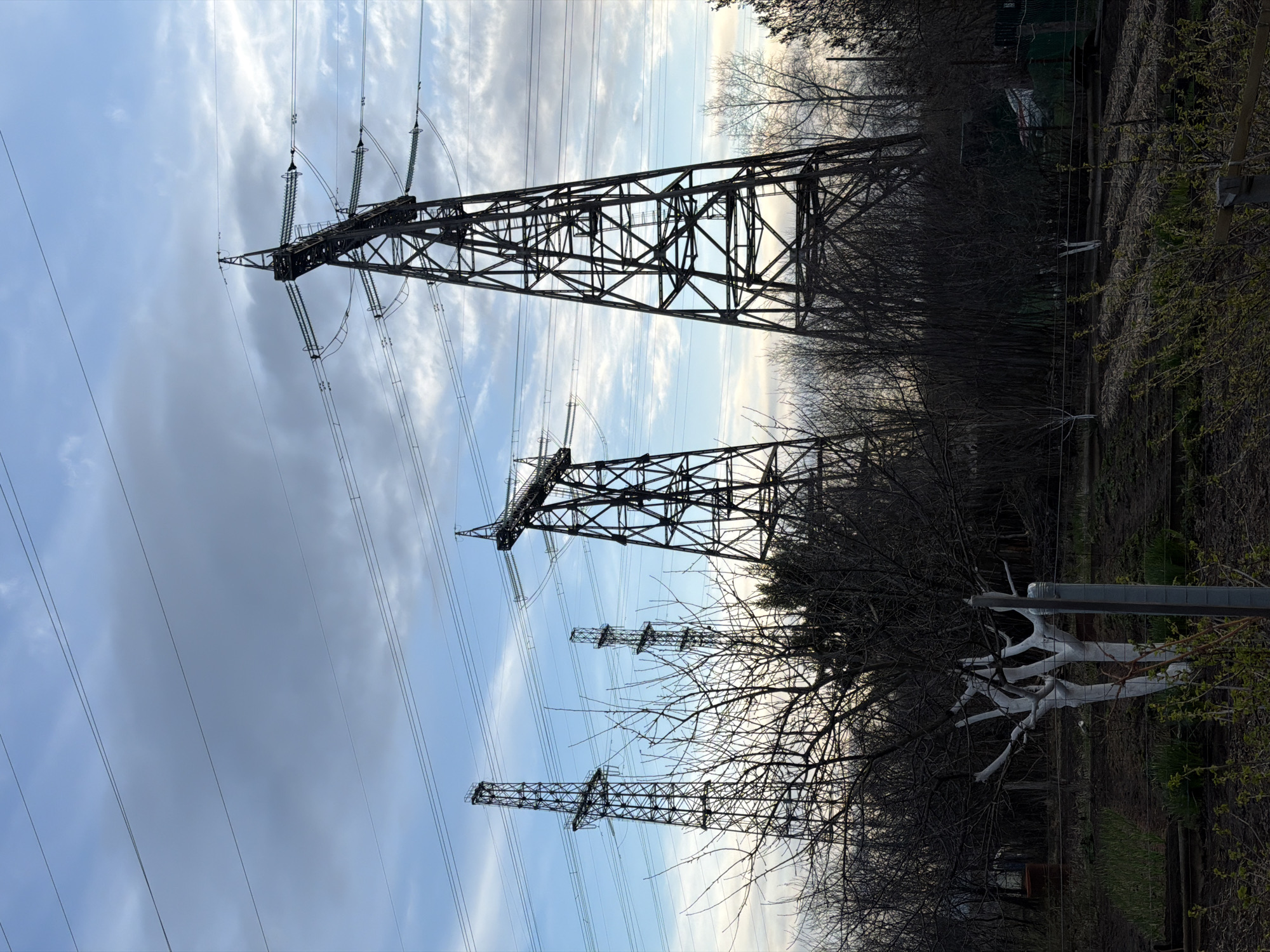 This image depicts a landscape featuring several large electricity pylons (transmission towers) silhouetted against a cloudy sky, likely in Chaikovsky, Russia. The scene appears to be late winter or early spring.
The primary subjects are at least four metal lattice pylons, dark against the lighter sky. The two closest pylons are prominent, showcasing their intricate structural details and the numerous insulators from which thick power lines extend across the frame. Further pylons recede into the distance, becoming smaller and less distinct.
To the right and in the lower half of the image, a dense area of bare deciduous trees and shrubs forms a dark mass, indicating the season. Some patches of budding green foliage are visible on the far right, hinting at the onset of spring. A wire fence runs horizontally across the midground, separating the viewer from the treeline. A notable detail in the lower right is a distinctive white, branch-like object, possibly a painted tree trunk or a decorative feature, situated near the fence. Faint outlines of distant structures can be perceived through the trees.
The sky is characterized by a mix of grey and white clouds, with areas of lighter blue peeking through, suggesting diffused light from either an early morning or late afternoon sun. There is no visible human activity or discernible text in the image. The scene presents a juxtaposition of industrial infrastructure with a natural, seasonal environment.