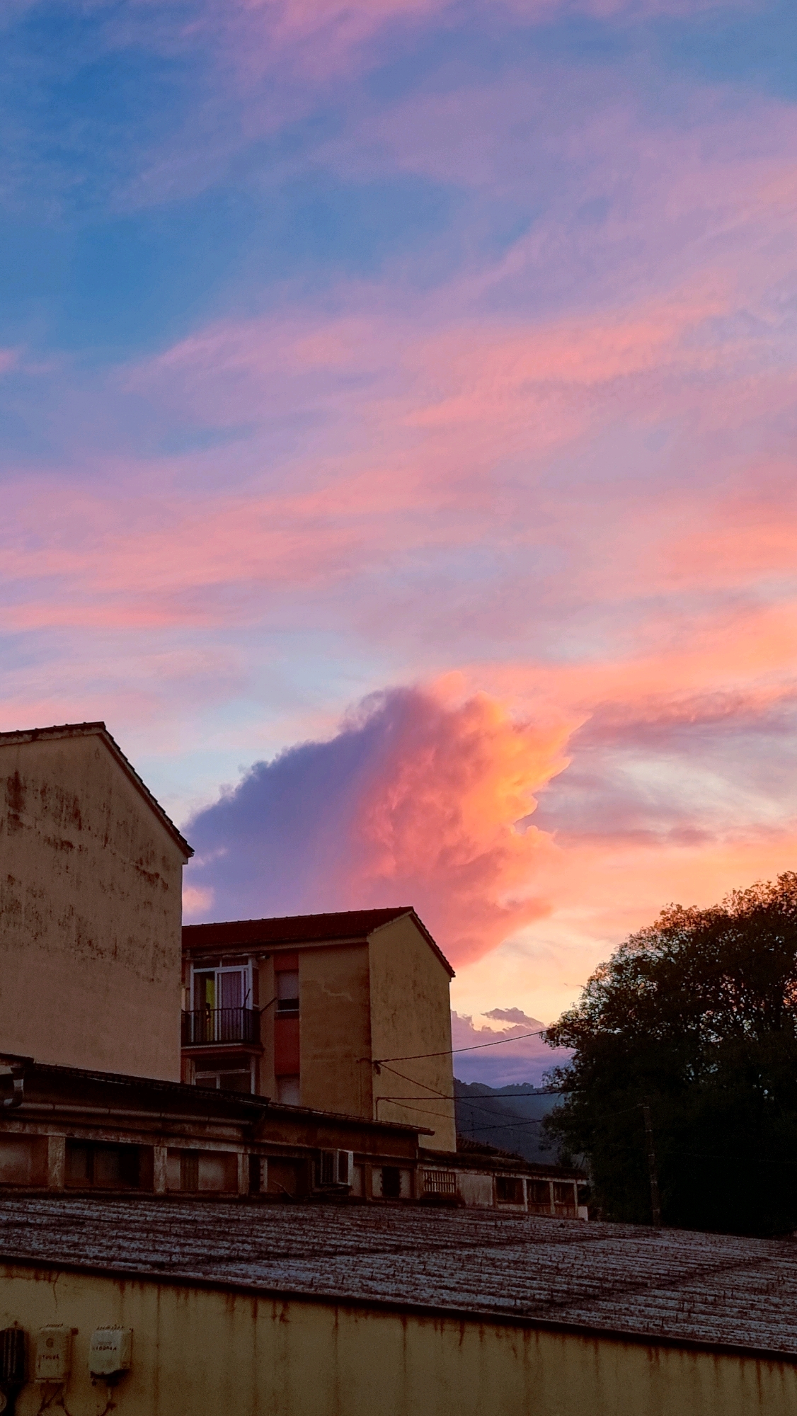 This is a photograph taken in Sant Joan Les Fonts, Spain, capturing a dramatic sunset. The sky is filled with vibrant hues of pink, orange, and purple, with streaks of blue visible near the top. Wispy clouds are illuminated by the setting sun, creating a painterly effect. In the foreground, the rooftops of buildings are visible, some with a weathered appearance. Several residential buildings, characterized by their light-colored facades and red tile roofs, are present. A tall, dark green tree stands to the right, partially obscuring the background. In the distance, a hazy mountain range can be seen. The overall scene conveys a sense of twilight beauty and urban tranquility.