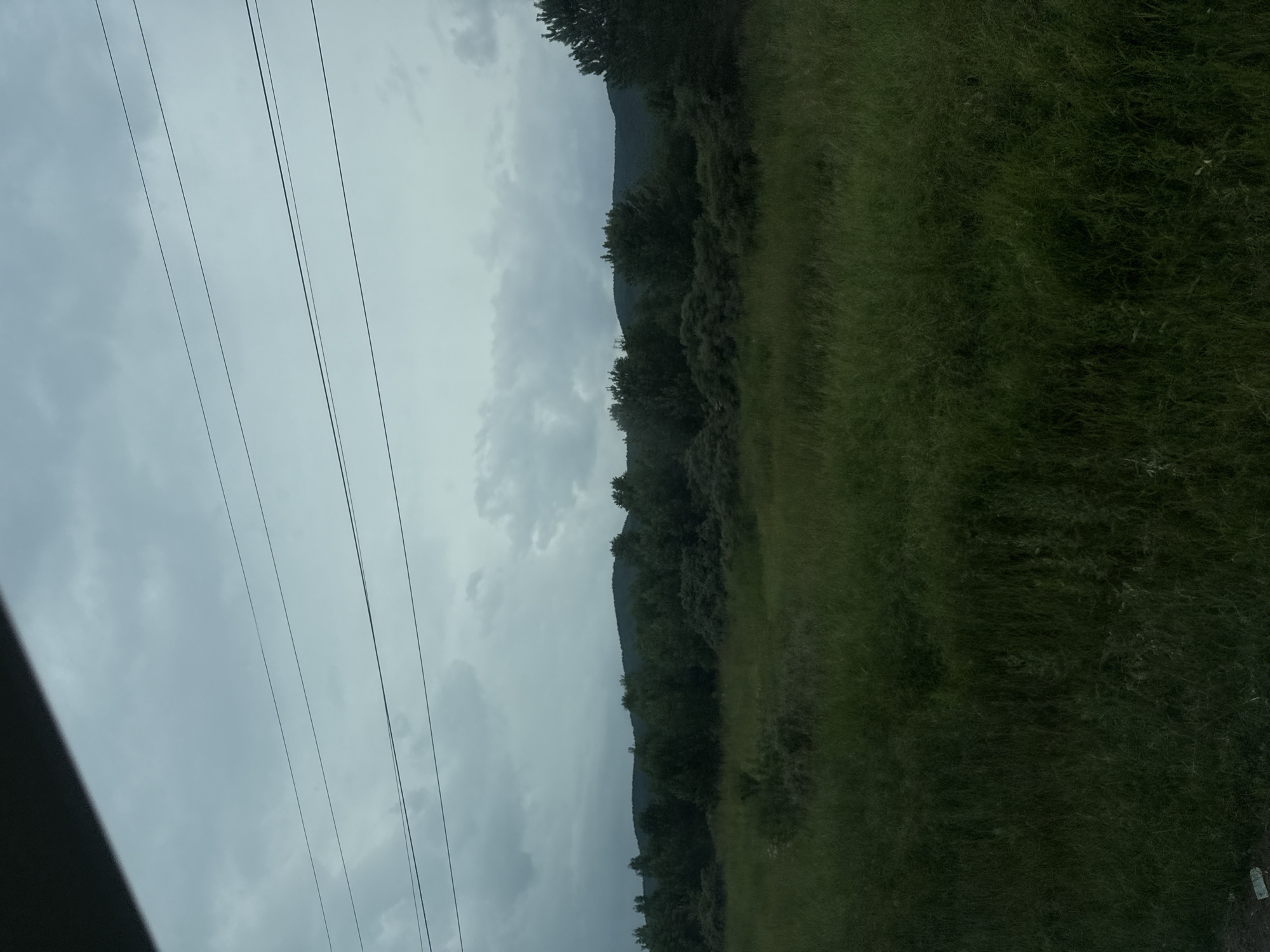 A wide, horizontal shot captures a cloudy, overcast sky above a landscape of trees and grass. The sky is a muted gray, with darker clouds towards the horizon. Three thin, dark power lines stretch across the upper portion of the image, horizontally oriented. Below the sky, a dense line of dark green trees forms a silhouette against the lighter sky, with some variation in height and texture. In the foreground, a field of tall, green grass extends across the bottom half of the frame. The grass appears somewhat overgrown and untamed. The overall scene suggests a rural or natural setting, possibly on the outskirts of a town or city. There are no people, animals, or vehicles visible in the image. The lighting is diffused and even, consistent with an overcast day. The location of Кузнецово, Russia, is not discernible from the visual elements of the image.
