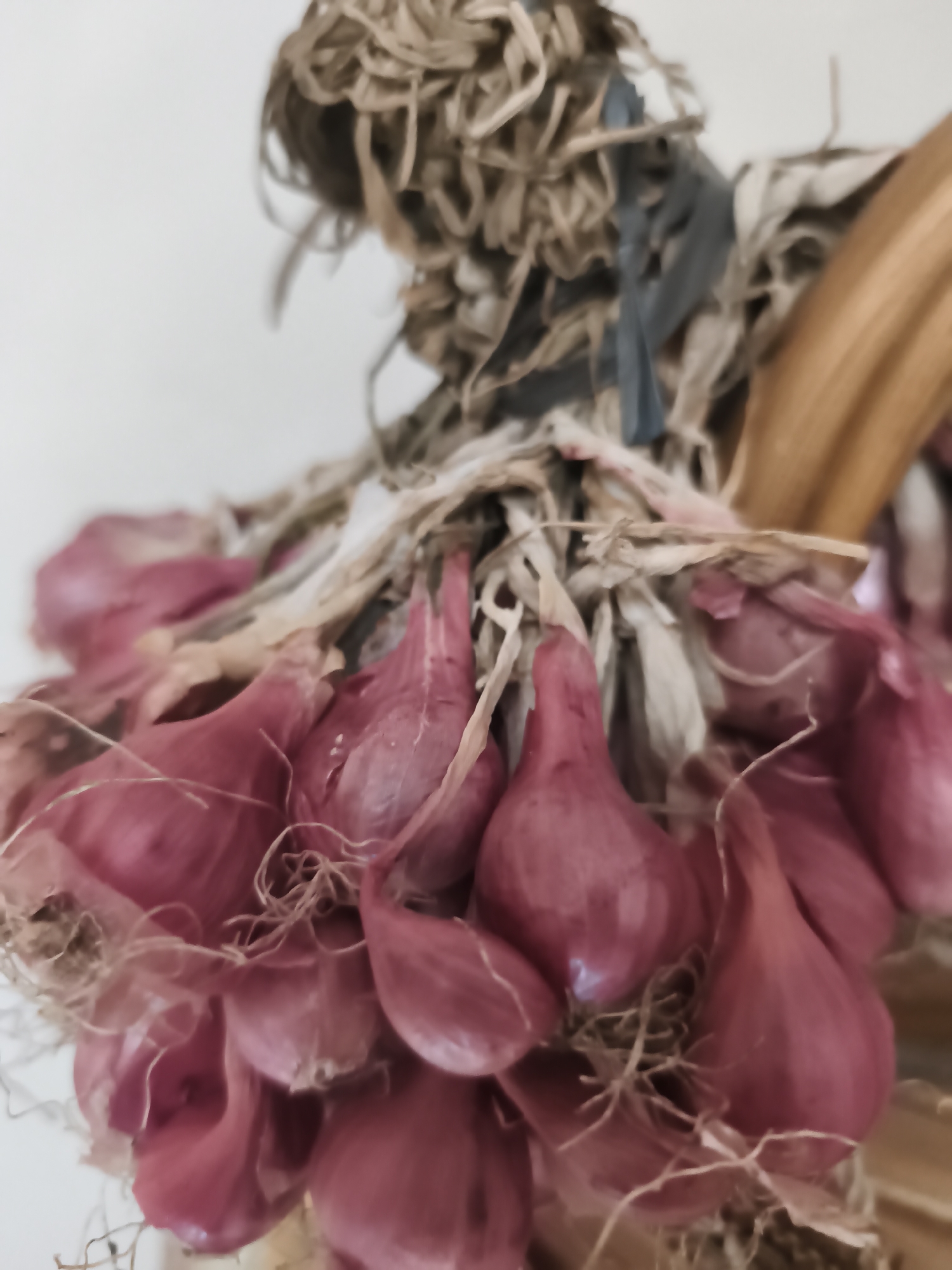 A close-up, slightly blurred shot shows a bunch of small, red onions hanging, likely for sale. They are tied together with dried foliage and string. The background is a plain, light color, possibly a wall. The onions have a vibrant red-purple hue and appear to be fresh, with visible roots. The image does not provide enough context to determine its specific location in Yogyakarta, Indonesia.