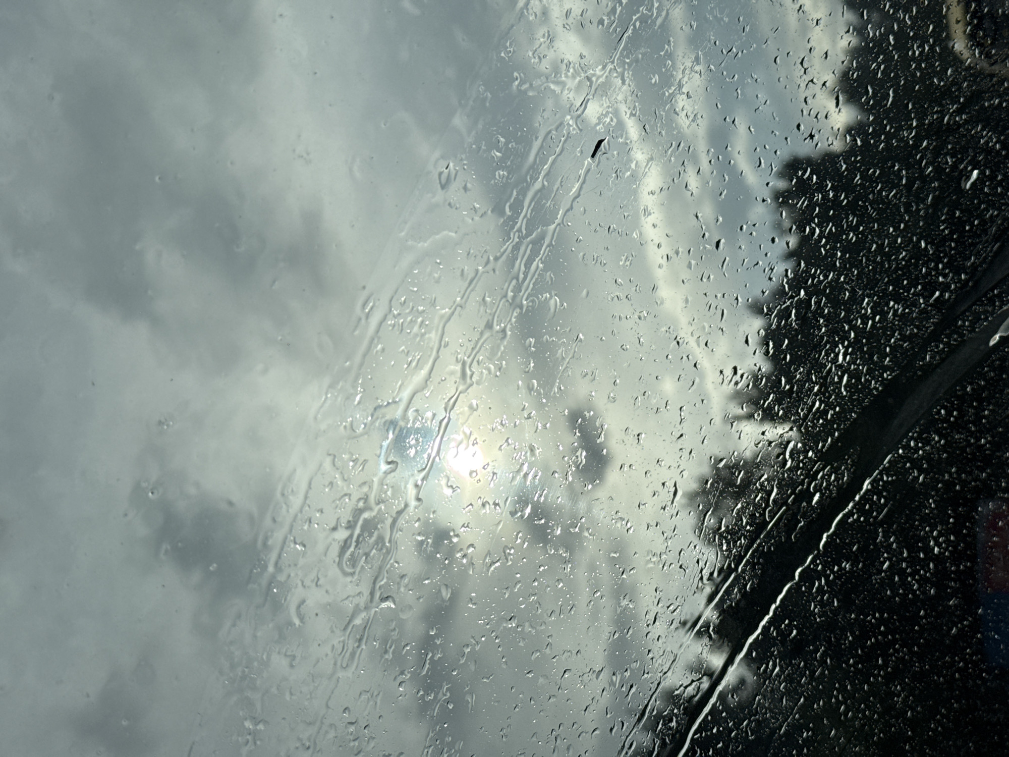 The image is a close-up of a car windshield covered in raindrops, obscuring the view of a cloudy sky and a silhouetted treeline. The sun is visible through the rain and clouds, creating a bright, hazy spot in the upper center of the frame. The foreground shows the rain streaks and water droplets on the glass, and a portion of a windshield wiper is visible at the bottom. The overall scene suggests a rainy day, likely taken from inside a vehicle. The reference to Krasnogorsk, Russia, does not provide any visual information that can be confirmed from the image itself.