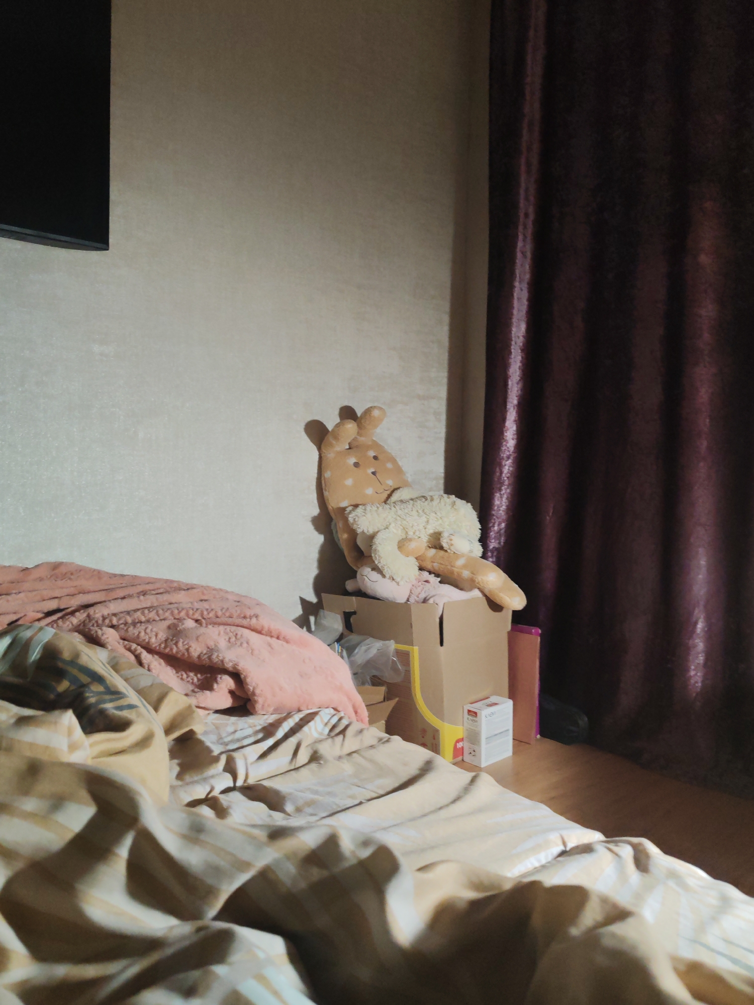 The image depicts an interior scene in Petropavlovsk-Kamchatsky, Russia, featuring a cluttered bed in a dimly lit room. The bed is covered with a striped duvet and a pink blanket. Near the head of the bed, against the wall, is a cardboard box filled with stuffed animals and other objects. A plush deer toy leans against the wall, and a white, fluffy toy lies on top of it. Other items such as a small white box and a pink cardboard item are visible near the box. A brown curtain hangs to the right of the wall, partially obscuring the background. A television is mounted on the wall to the left. The overall impression is of a room that is somewhat messy and poorly lit.