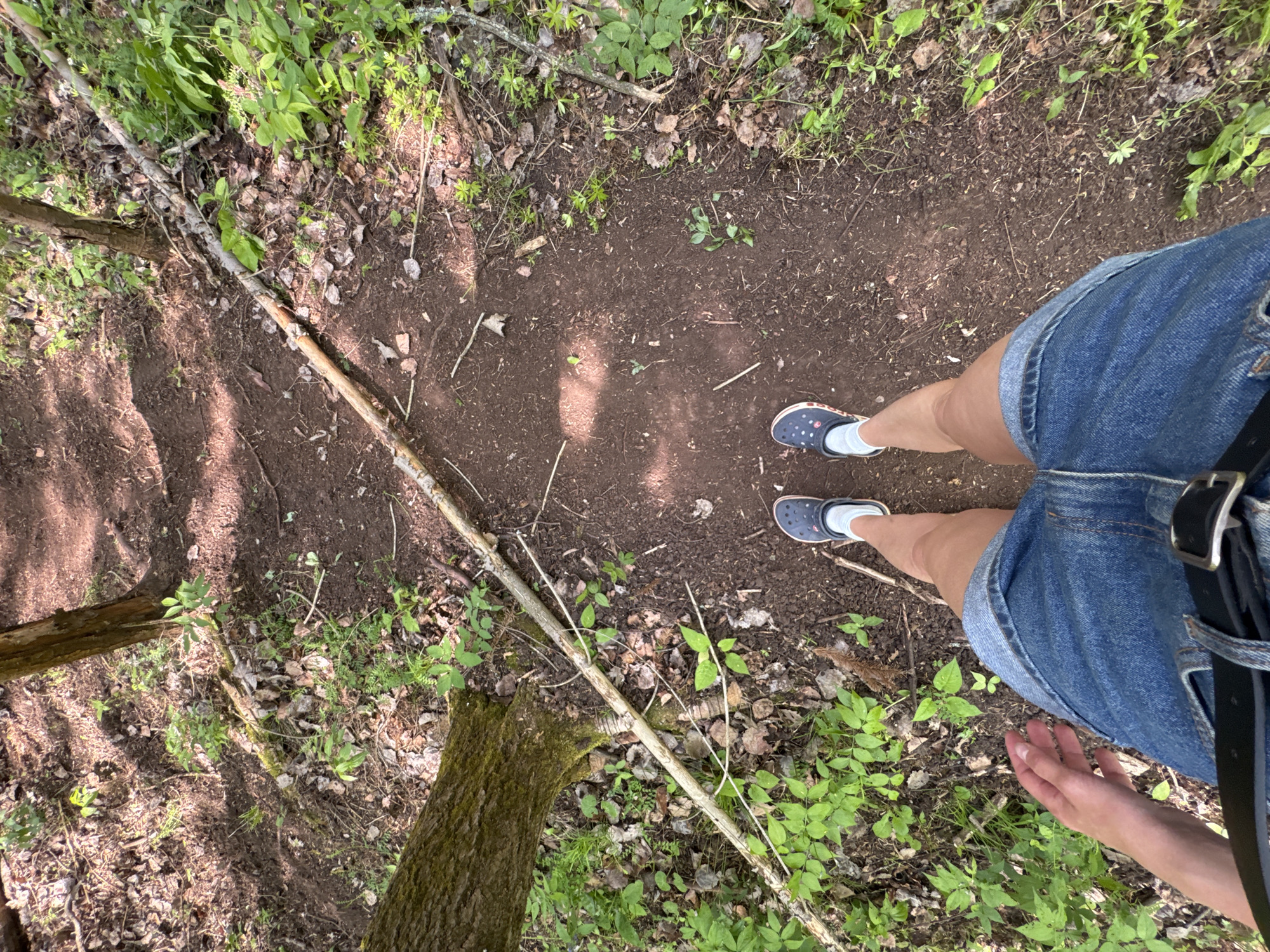 A top-down view shows a dirt path in a wooded area in Чёрная, Russia. The path is surrounded by leaves, small plants, and branches. The lower half of a person is visible on the right side of the image. The person is wearing blue denim shorts, a black belt, white socks, and blue Crocs. Their hand is visible at the bottom right edge of the image. A long, slender branch lies diagonally across the path. A tree trunk is visible in the lower-left corner.