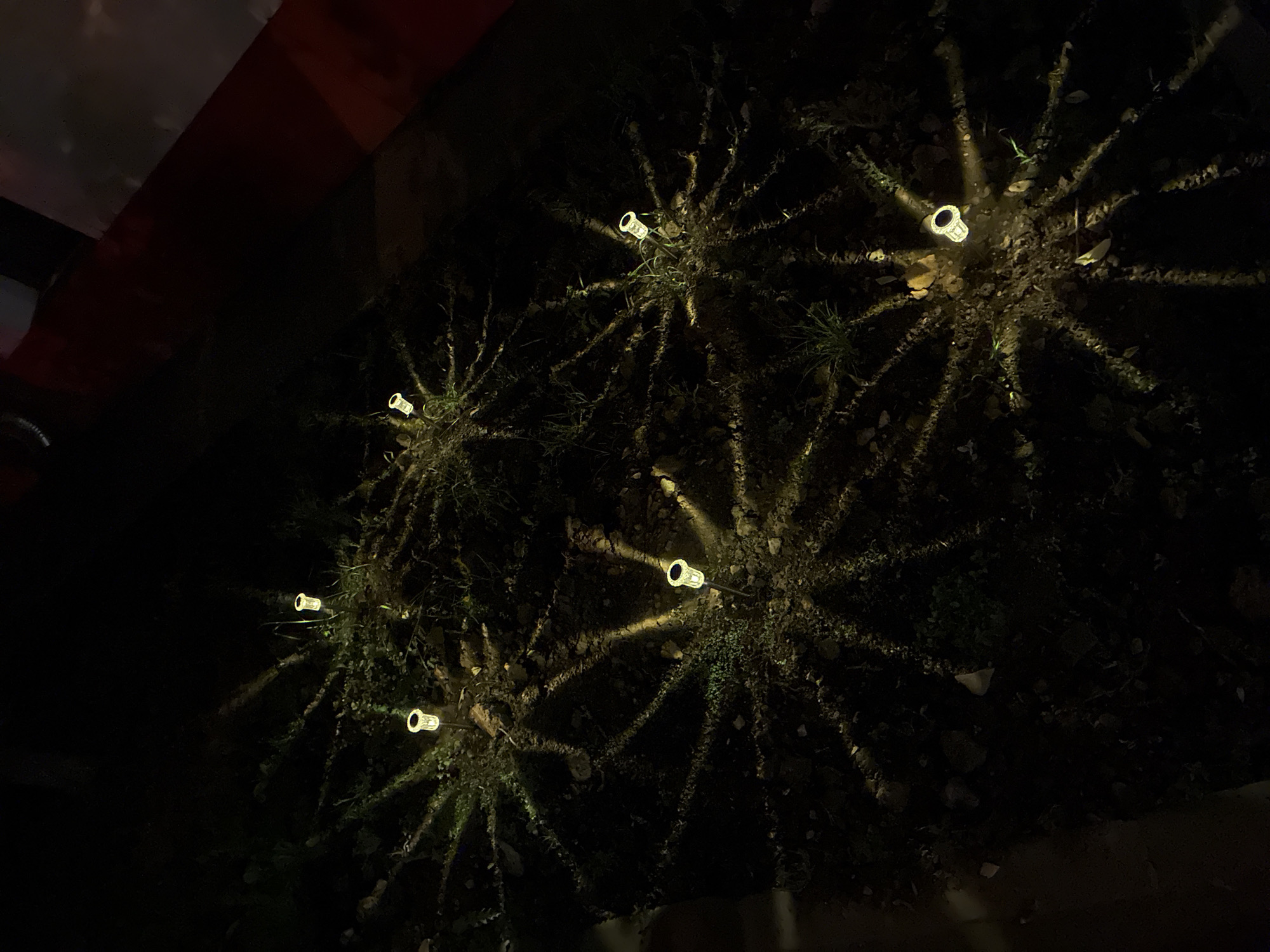 The image depicts a ground-level outdoor scene at night. Six solar-powered garden lights are positioned in a planting bed, each emitting a yellow glow. The lights are surrounded by dark vegetation and debris. A dark structure with a red edge is visible in the upper left corner. There is no indication of Moscow, Russia.