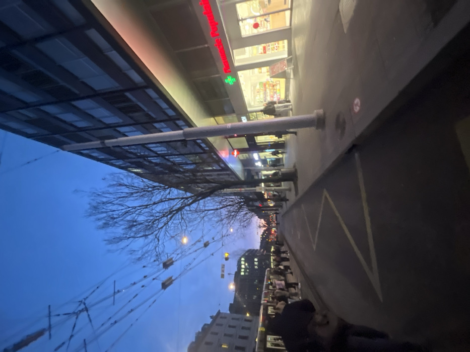 This image captures an urban street scene at dusk or early evening, rotated ninety degrees counter-clockwise. The sky on the left is a deep, dark blue, against which the bare branches of a tree are silhouetted. A large, modern building occupies the upper portion of the frame (left side when viewing upright), featuring an extensive glass and metal canopy that extends over a sidewalk. A tall, light-colored pole stands vertically, supporting this overhead structure.
On the building's facade, bright red lettering clearly reads "Pharmacie Populaire," accompanied by a prominent green cross symbol, identifying it as a pharmacy. The building's large windows display brightly lit interiors, suggesting a commercial establishment.
The right side of the image depicts a wide, dark paved area, possibly a street or a large pedestrian plaza, with a distinct yellow zigzag line painted on its surface. Numerous streetlights and building lights illuminate the background, creating a warm glow. Several people are visible in the distance, walking along what appears to be a busy street or public space. Closer to the foreground on the right, a person in a dark jacket is seen from behind. Overhead, multiple cables with decorative or functional lights are strung across the scene, contributing to the evening ambiance.
The visible French text "Pharmacie Populaire" strongly suggests a location in a French-speaking region, aligning with the provided context of Genève, Switzerland. The scene depicts a typical, calm evening in a European city.