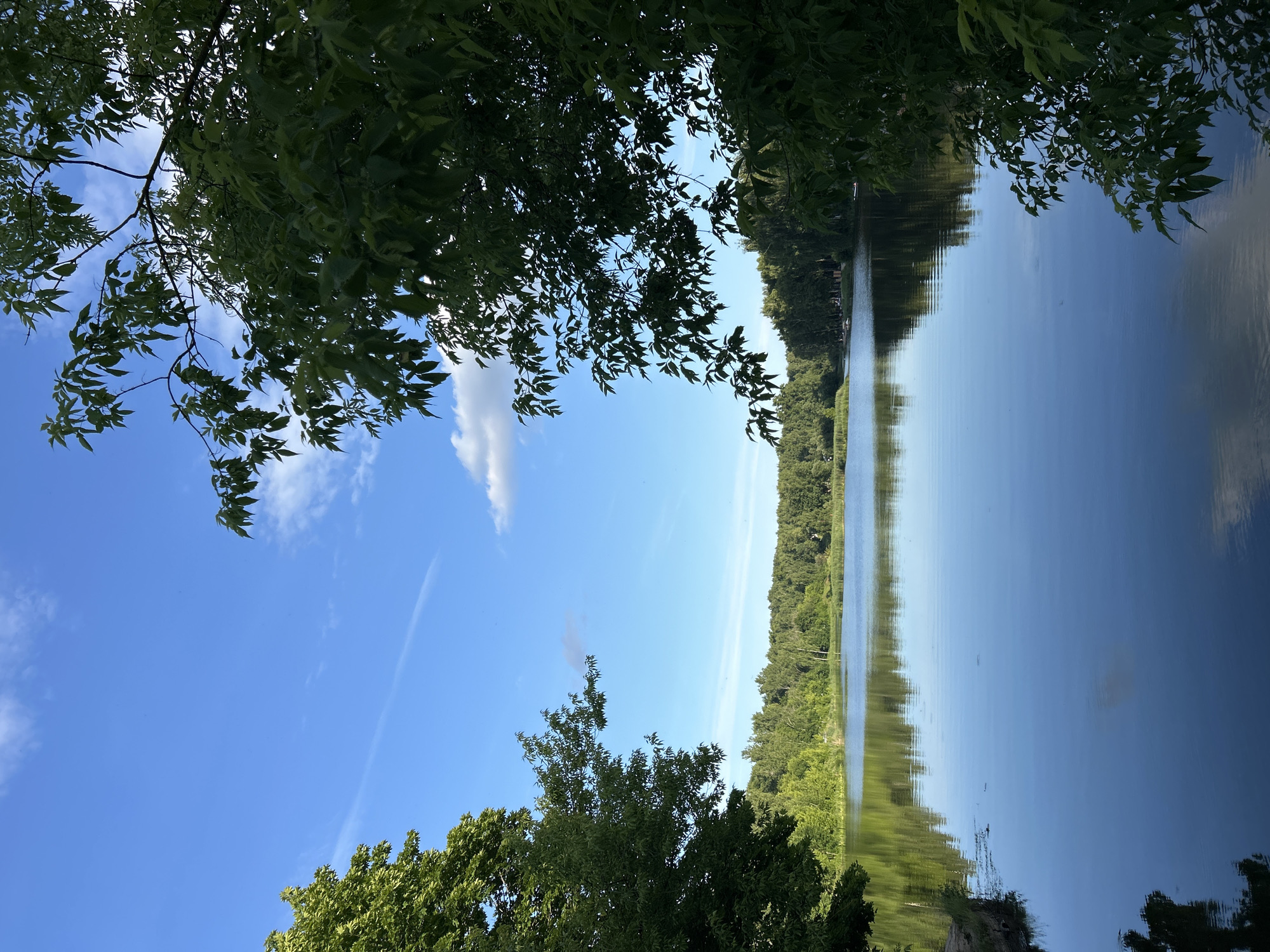 The image depicts a serene lake scene, likely in Klin, Russia, under a clear blue sky with scattered white clouds. Lush green trees frame the left and right sides of the frame, their leaves creating a dappled effect. The lake's surface is calm and reflective, mirroring the blue sky and the dense line of trees that form the distant shoreline. The overall impression is one of natural tranquility, with no visible human activity or structures, suggesting a natural reserve or a quiet recreational area.