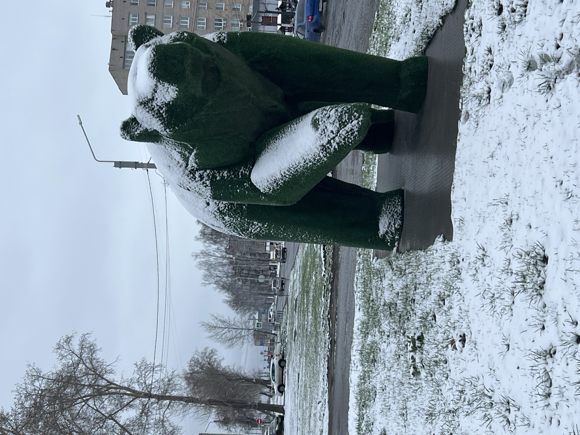 The image shows a green topiary bear statue in the city of Chaikovsky, Russia. Light snow is on the statue, the grass, and the ground. A street with cars is visible in the background, as well as buildings and bare trees. The sky is overcast.