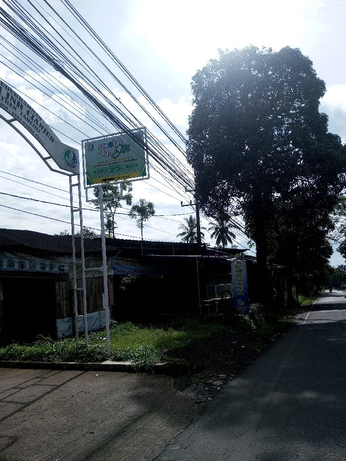 This image depicts an outdoor street scene under a bright, partly cloudy sky. Numerous black utility lines crisscross the upper frame. On the left, an arched white sign displays partial Indonesian text, including "Cianjur, Jawa Barat 43292". Adjacent to it, a rectangular green and white sign points right, reading "Sekolah Alam" (Nature School). Behind these signs, obscured single-story structures with corrugated roofs are visible in shadow, alongside a patch of green grass. A large, dark-foliaged tree dominates the right midground, with several palm trees visible further back. A paved road extends from the bottom right into the background, where a single, distant figure on a motorcycle is faintly visible. The visible signage indicates the location is Cianjur, West Java, Indonesia, which contradicts the specified location of Domphoog_Dungkarchhoeling, Bhutan.