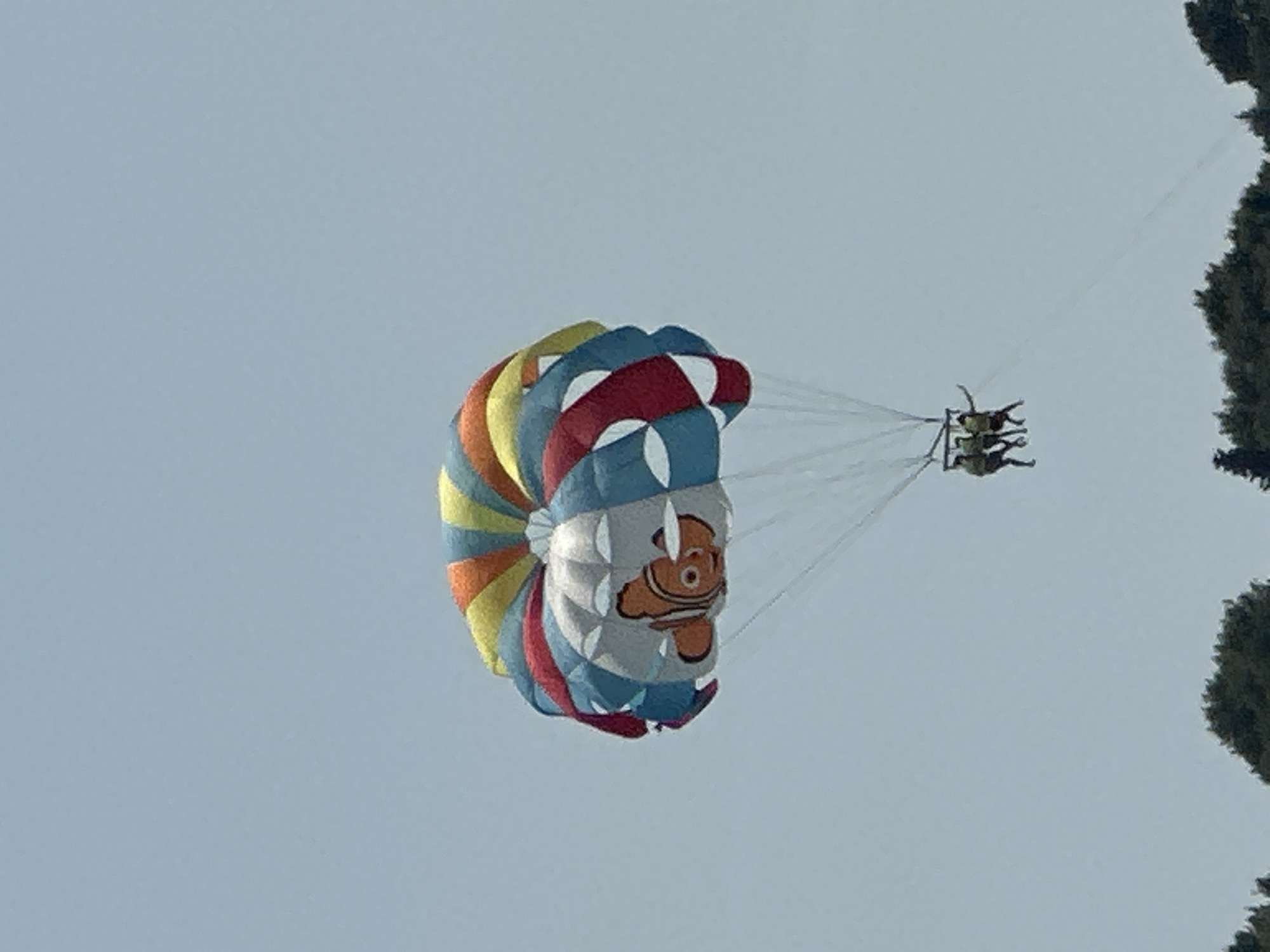 The image captures a parasailing activity against a clear sky, with a hint of greenery from trees on the right side. The main subject is a colorful parasail, adorned with a cartoon image of Nemo, the clownfish from the Disney-Pixar movie. The parasail features segments of red, white, blue, yellow, and orange, creating a vibrant visual against the light blue sky.
Two people are visible, suspended beneath the parasail. They appear to be enjoying the ride, their bodies angled as they are towed through the air. Their attire is not clearly discernible due to the distance and resolution.
The scene suggests it is daytime, given the brightness of the sky and the lack of shadows that would indicate dawn or dusk. The weather appears to be fair, with no clouds visible, making it an ideal day for parasailing. The presence of trees on the right side suggests a coastal or lakeside setting, which aligns with the provided location context of Boreti, Montenegro, known for its scenic coastline.
There is no visible text in the image. The overall mood conveyed is one of leisure and adventure, typical of a vacation or recreational activity. The Nemo design on the parasail adds a playful and child-friendly element to the scene.