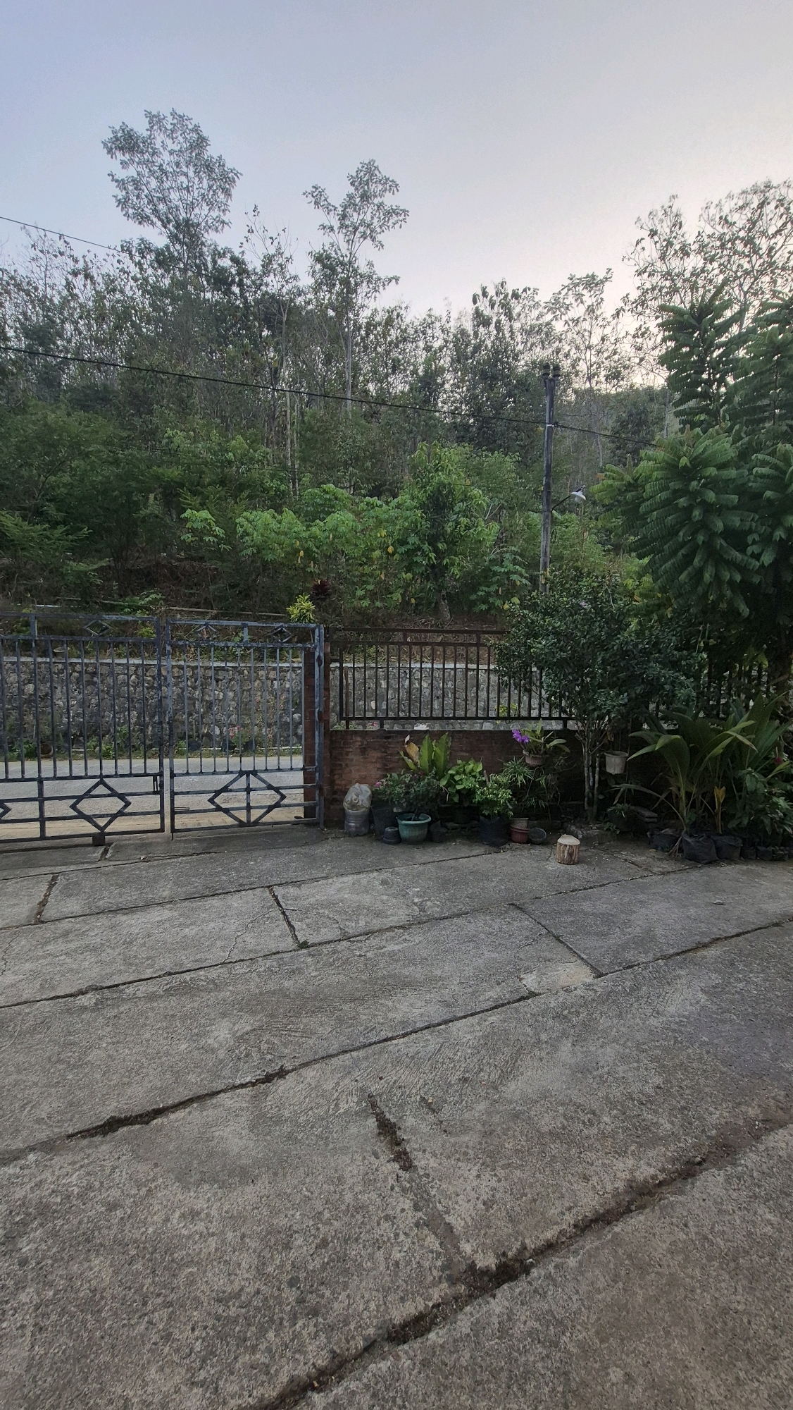 The image depicts a street scene in Sukoharjo, Indonesia. In the foreground, there is a paved concrete surface with visible cracks. To the left, a black metal gate with diamond-shaped accents stands open, leading to a stone-walled area behind it. Adjacent to the gate, a row of potted plants and some other decorative items are arranged on the pavement. Beyond this, a black metal fence runs along the property line, backed by a brick wall. A dense green hillside covered with trees and foliage rises behind the fence. The sky above is overcast and light. A light pole with a lamp is visible on the hillside. The overall impression is that of an outdoor residential or property entrance in a hilly, vegetated area.
