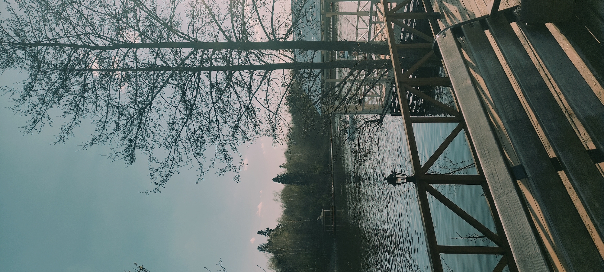 The scene depicts a view from a wooden pier or boardwalk in Grebnevo, Russia, overlooking a body of water. The pier is constructed with wooden beams and planks, showing signs of weathering and wear. The water has a rippled surface, reflecting the sky and surrounding trees. On the far side of the water is a dense line of trees and vegetation, suggesting a wooded area or forest. Bare tree branches are visible against the sky, creating a stark contrast. A lamppost is attached to the wooden pier or boardwalk near the water's edge. The sky appears overcast, contributing to a subdued lighting. There are no people visible in the image. The location is recognizable as Grebnevo due to the specific architectural style and natural features typical of the area.