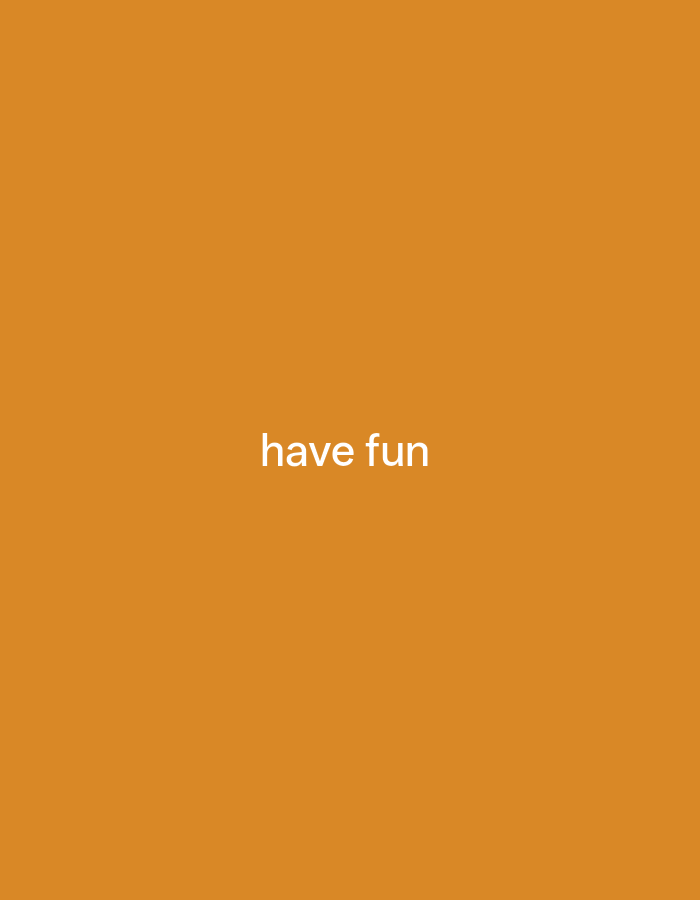 The image is a solid orange background with the words "have fun" written in white text in the center. There are no people, objects, or environmental details present in the image.