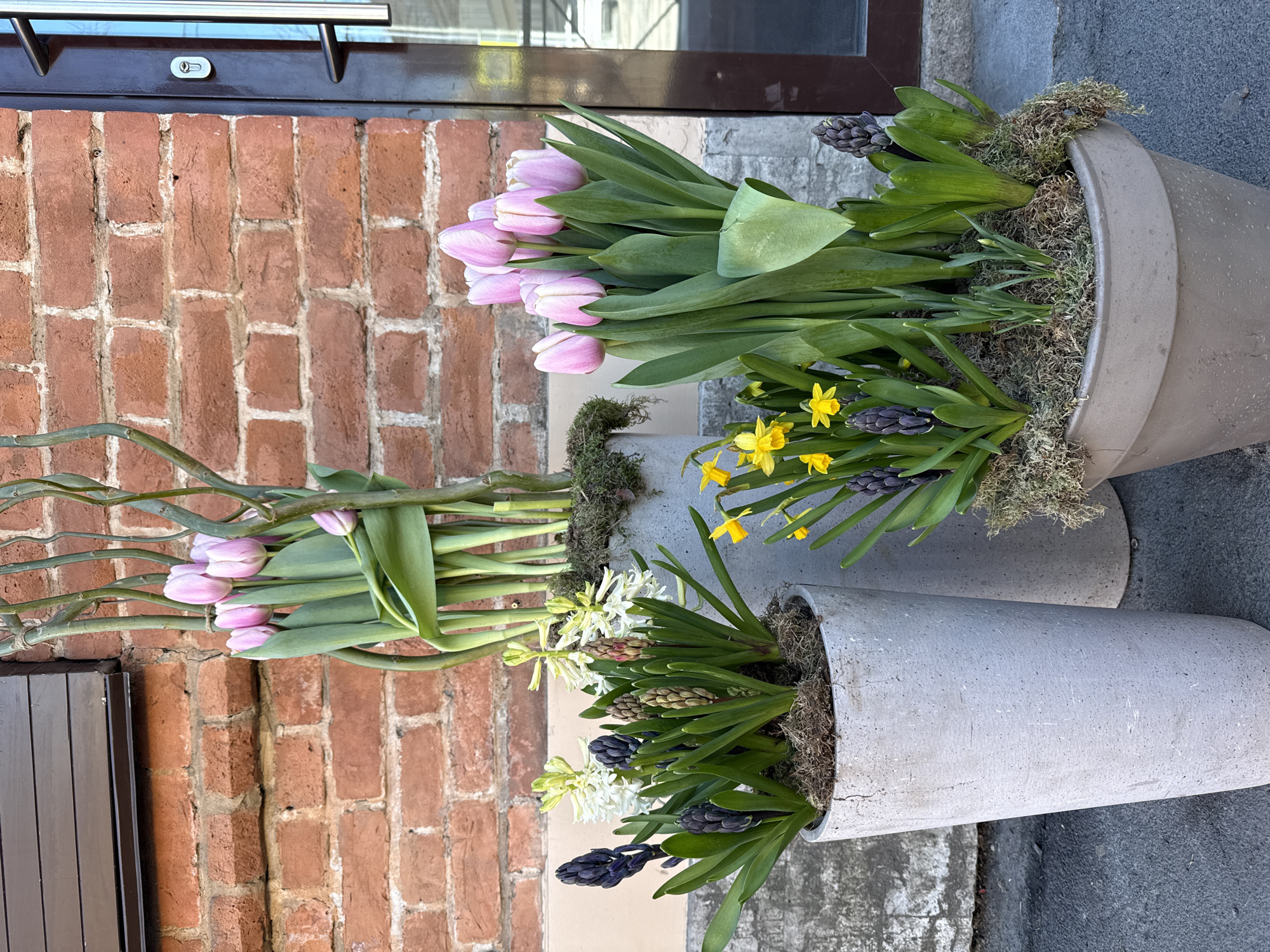 The image depicts two gray concrete planters situated near a brick wall and a door with a brown frame. The planters are filled with spring flowers, including pink tulips, yellow daffodils, and blue and white hyacinths, with some moss covering the soil. The flowers are arranged in a visually appealing manner, suggesting a deliberate design. The brick wall provides a textured backdrop, and the doorframe adds to the architectural context. The environment appears to be an urban setting, potentially in Saint Petersburg, Russia, given the architectural style, which has classic features often associated with that region.