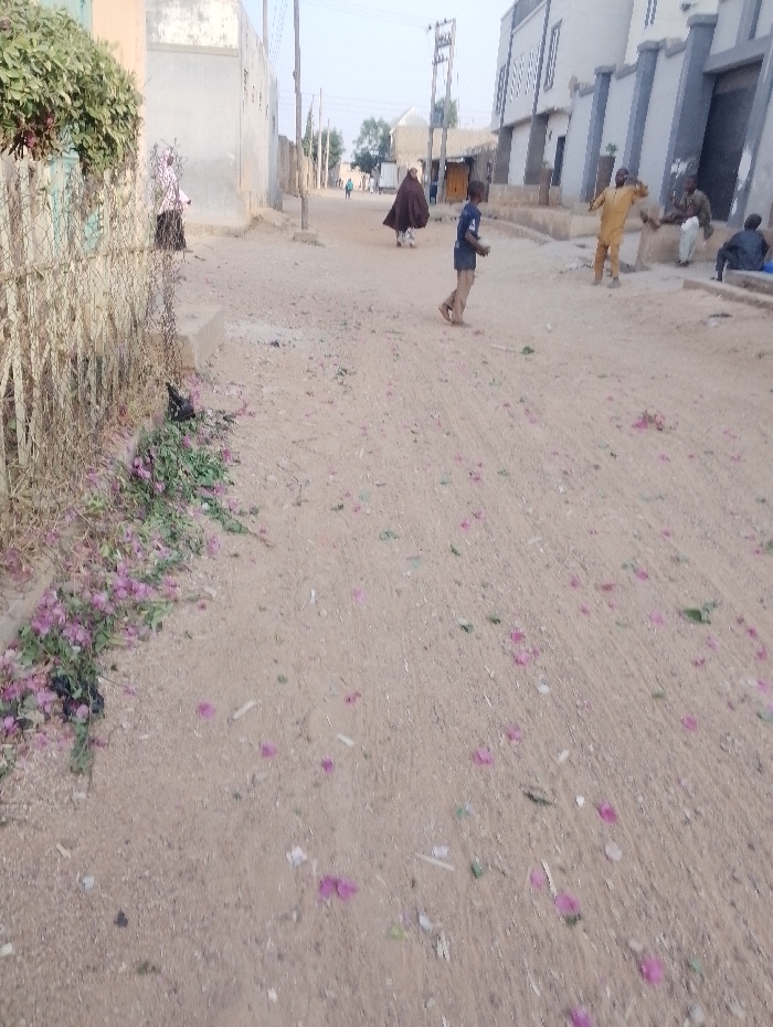 A sunlit, sandy road stretches into the distance. Several individuals are seen: one in a brown robe, a boy in a blue shirt, and others gathered near buildings. The road's surface is scattered with pink flower petals. A fence covered in greenery borders the road on the left, with more pink flowers at its base. Buildings and utility poles line the street.