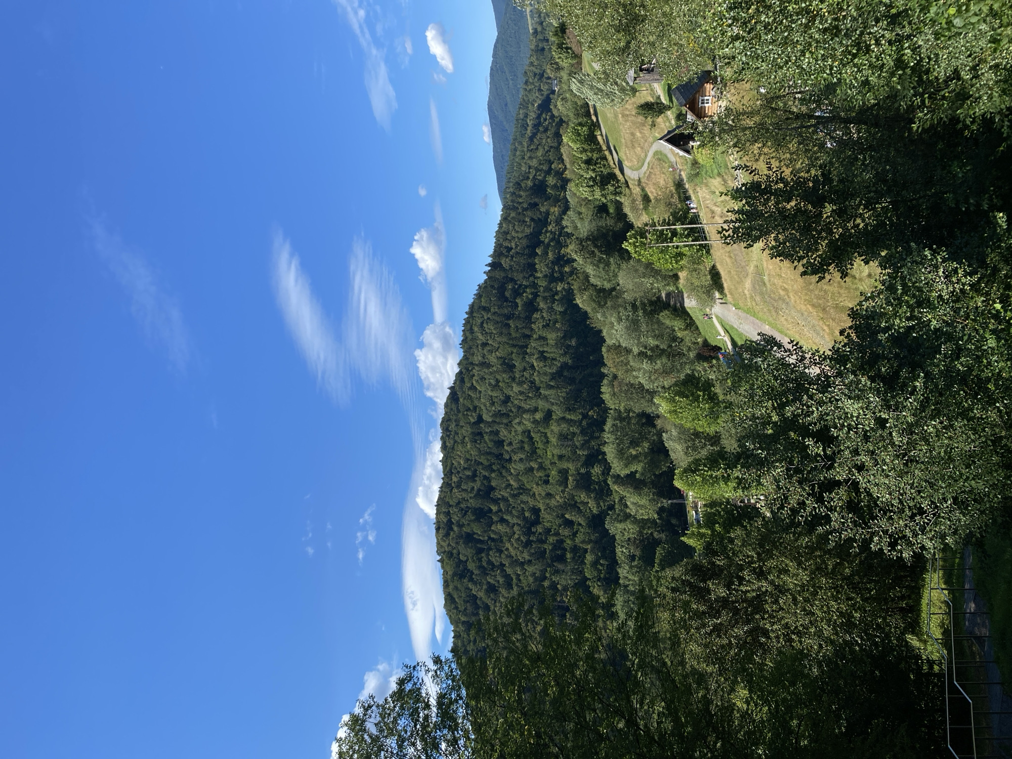 The image captures a panoramic view of a lush green hillside landscape under a bright blue sky dotted with wispy white clouds. The foreground is dominated by dense foliage from large trees, framing the view. A winding dirt path leads up the grassy slope, passing by several rustic wooden buildings, including what appears to be a small house with a prominent window. Further up the hill, the path continues through a verdant forest that covers the entirety of the mountain. In the distance, layers of rolling hills recede into the horizon. The scene suggests a rural or park-like setting, possibly in Muszyna, Poland, given the architectural style of the buildings and the natural beauty of the terrain.