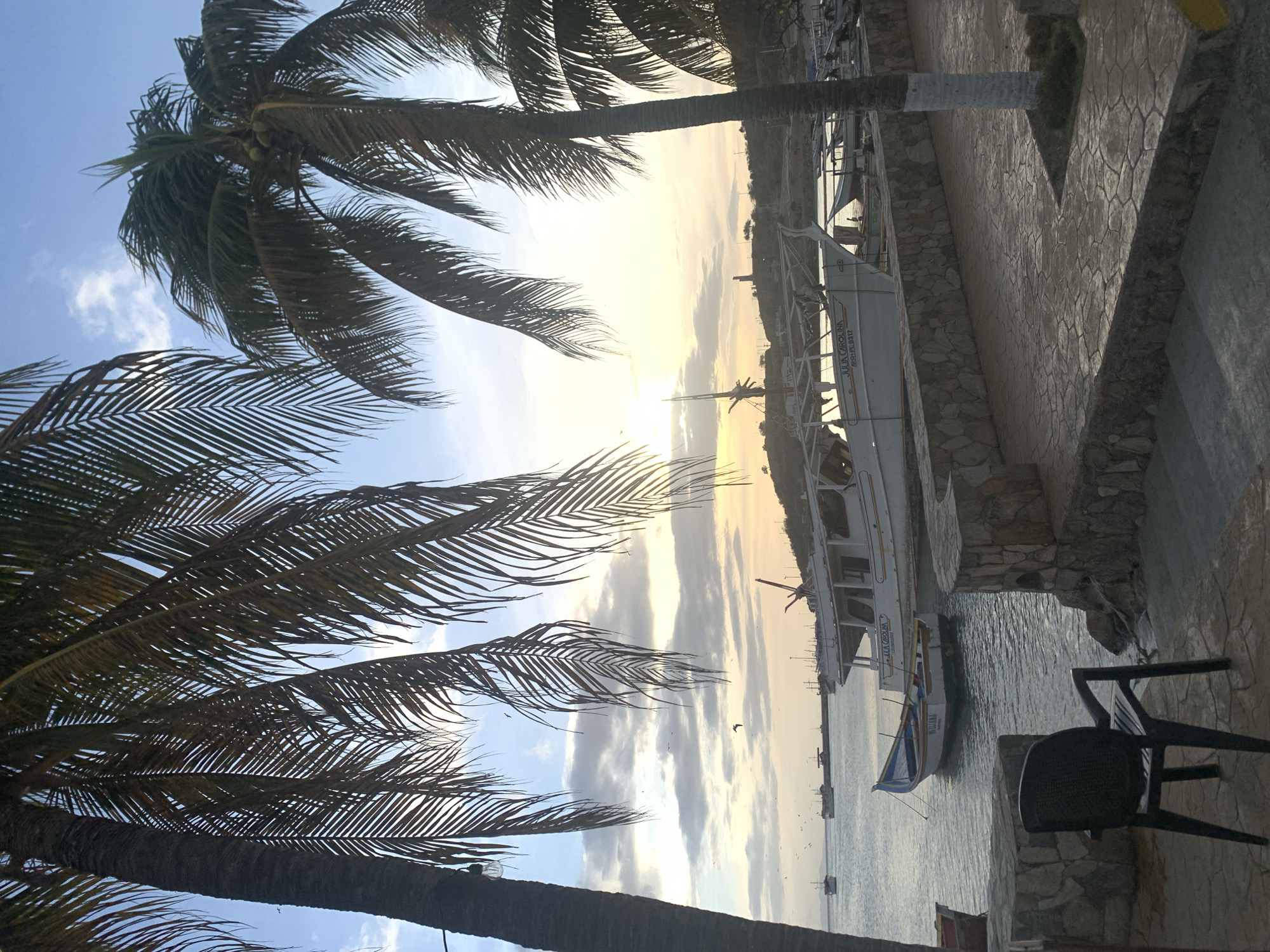 A serene view of the Juan Griego, Venezuela coastline at dusk, with the sky transitioning from a clear blue to hues of orange and yellow as the sun dips below the horizon. The foreground is dominated by the silhouettes of several tall palm trees, their fronds creating a natural frame for the scene. Below the trees, a paved walkway constructed with irregular stone slabs leads down a series of steps. To the left, a single black plastic chair sits on the walkway, facing the water.
The middle ground features a calm body of water where several boats are anchored. A prominent white fishing boat with the name "JULIA CAROLINA" visible on its hull is moored closest to the shore. A smaller, colorful blue and white boat is docked beside it. Further out in the bay, more boats and distant landforms are visible. The water is gently rippling, reflecting the soft evening light.
In the background, a hilly coastline stretches across the horizon, dotted with a few scattered buildings and vegetation. A lighthouse can be seen standing tall on one of the higher points of land. The sky is filled with a mix of light clouds and a few specks that could be birds. The overall atmosphere is peaceful and tranquil, characteristic of a coastal town at the end of the day.
