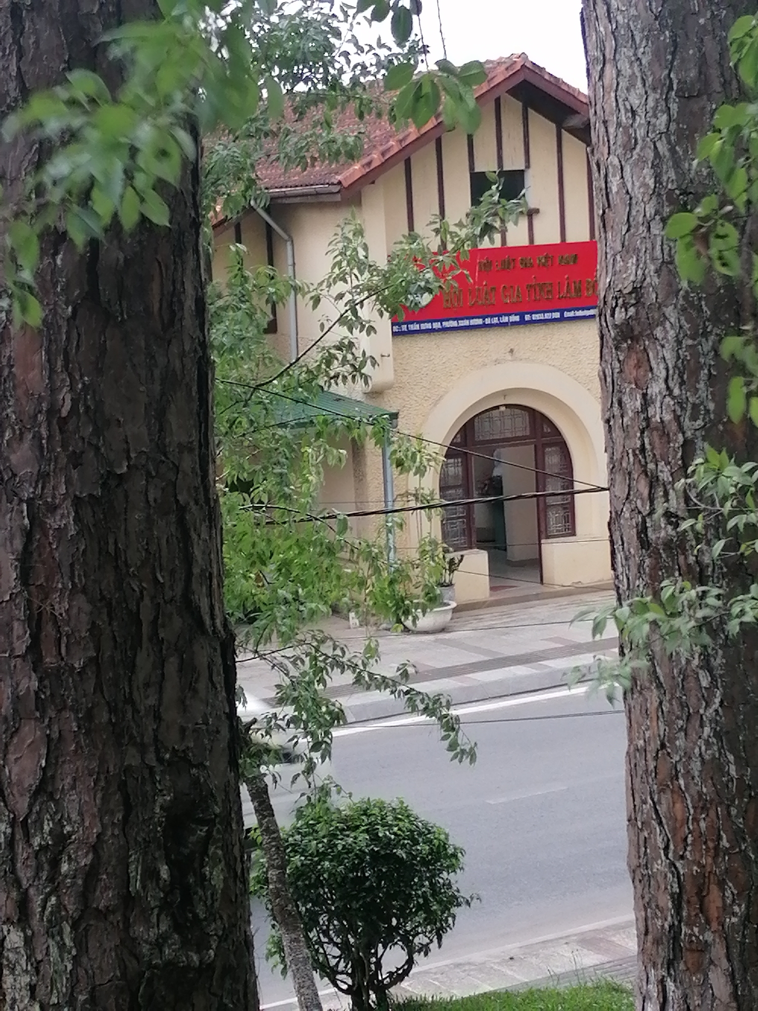 This is a vertical, eye-level, medium shot of a building facade in Da Lat, Vietnam, partially obscured by trees and foliage. A large, textured tree trunk dominates the left foreground, with a similar tree trunk on the right. Green leaves and branches extend into the frame from both sides.
The building is a two-story structure with a cream-colored exterior. The roof is tiled in a reddish-brown hue. A prominent red banner with white Vietnamese text is mounted on the upper part of the facade. Below the banner, a large arched doorway with dark wood framing and glass panes provides an entrance. A person, dressed in light-colored clothing, is visible inside the doorway. Potted plants are placed on either side of the entrance.
A sidewalk with a patterned surface runs in front of the building, leading to the arched entrance. A paved road is visible beyond the sidewalk. The overall environment suggests an outdoor setting, likely in a residential or institutional area, given the presence of trees and the architectural style of the building. The lighting is overcast, indicating a cloudy or dim day.