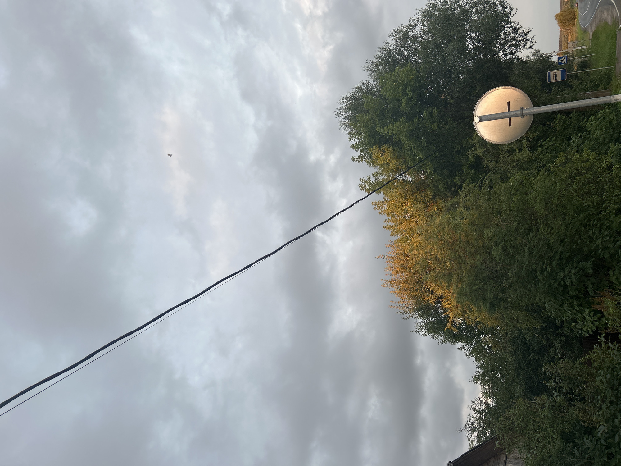 The image captures a somewhat overcast day in Kalitsino, Russia. A power line stretches diagonally across the sky from the upper left to the middle right. In the distance, a small dark object, possibly a bird or insect, is visible against the cloudy sky. The foreground features a dense collection of trees, some with autumnal yellow foliage catching the light, contrasting with the darker green of others. To the right, a circular sign, partially illuminated, stands on a pole, accompanied by smaller blue and white traffic signs, one depicting a bus. A road curves away into the distance on the right side of the frame. A part of a wooden building with a slanted roof is visible on the far left. The overall atmosphere suggests a rural or semi-rural setting on a cloudy day.