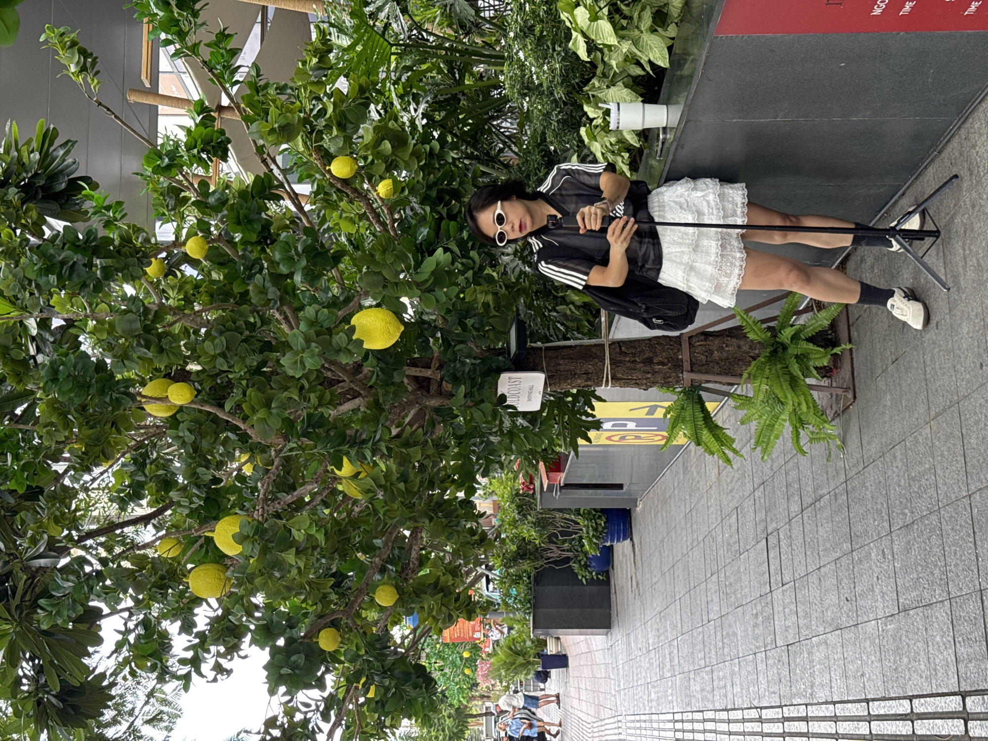A woman stands outdoors on a tiled walkway in Nha Trang, Vietnam, holding a tripod with a retracted selfie stick. She is positioned beneath a tree adorned with large, artificial lemons. The woman wears white-rimmed sunglasses, a black athletic-style shirt with white stripes on the sleeves, and a white lace skirt. She has dark hair and is looking to her left. A black backpack is slung over her left shoulder. To her right, on a ledge, is a white insulated cup with a straw. In the background, there are more trees and greenery, as well as buildings and other people walking on the sidewalk. The overall environment appears to be a public area, possibly a street or shopping district. A sign on the tree trunk reads "GOLD COAST SHOPPING MALL".
