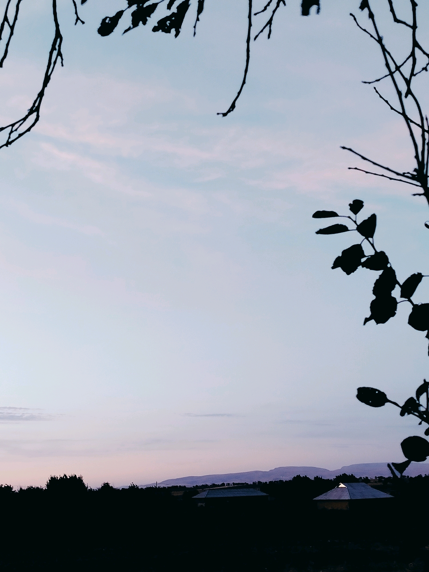 This is a vertical, full-frame photograph of a silhouetted landscape under a dusky sky. The image is framed by dark, leafless branches in the foreground, creating an abstract border that draws the viewer's eye into the scene. These branches, appearing almost like ink blots, are sharply defined against the pale, gradient sky, which transitions from a light blue at the top to soft pinks and purples near the horizon. Wispy clouds are scattered across the sky, subtly catching the fading light.
Below the horizon, the landscape is rendered entirely in silhouette. A dense line of trees forms a dark, uneven band across the middle ground. Amongst the trees, the dark shapes of rooftops are visible, suggesting a small settlement or village. One prominent structure in the center has a distinctive, almost pyramidal roof shape, catching a faint hint of light. In the far distance, the soft, undulating shapes of mountains are visible against the horizon, adding depth to the scene.
The overall mood is serene and tranquil, characteristic of twilight or dawn. The soft colors of the sky and the dramatic silhouettes contribute to a sense of quiet contemplation. The absence of people or active movement suggests a peaceful, undisturbed moment. The location cues, such as the style of the rooftops and the distant mountains, combined with the provided location context, place the scene in Көлкент, Kazakhstan. The weather appears clear and calm, with no indication of rain or wind. There is no visible text in the image.