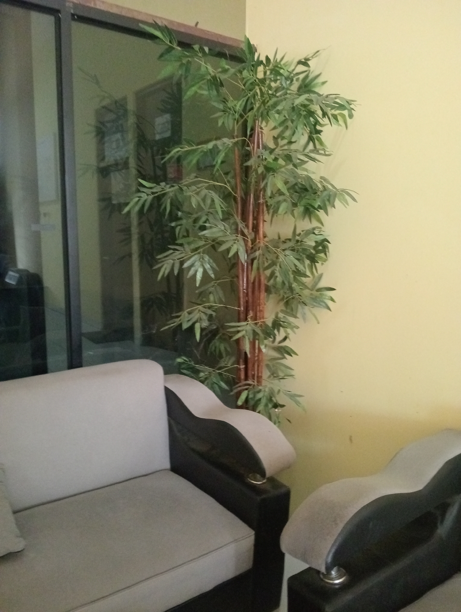 In Sidoharjo, Indonesia, a room features a tall, artificial bamboo plant with slender, reddish-brown stalks and numerous green leaves, positioned in the corner against a pale yellow wall. To the left of the plant, a portion of a light gray sofa is visible, with its dark brown armrest and frame. Adjacent to the sofa, a second, similar armchair or sofa section is partially seen, also with a light gray seat and dark brown armrests. A large glass window or door is situated behind the sofa and plant, reflecting the interior of the room, including other furniture and what appears to be a doorway.